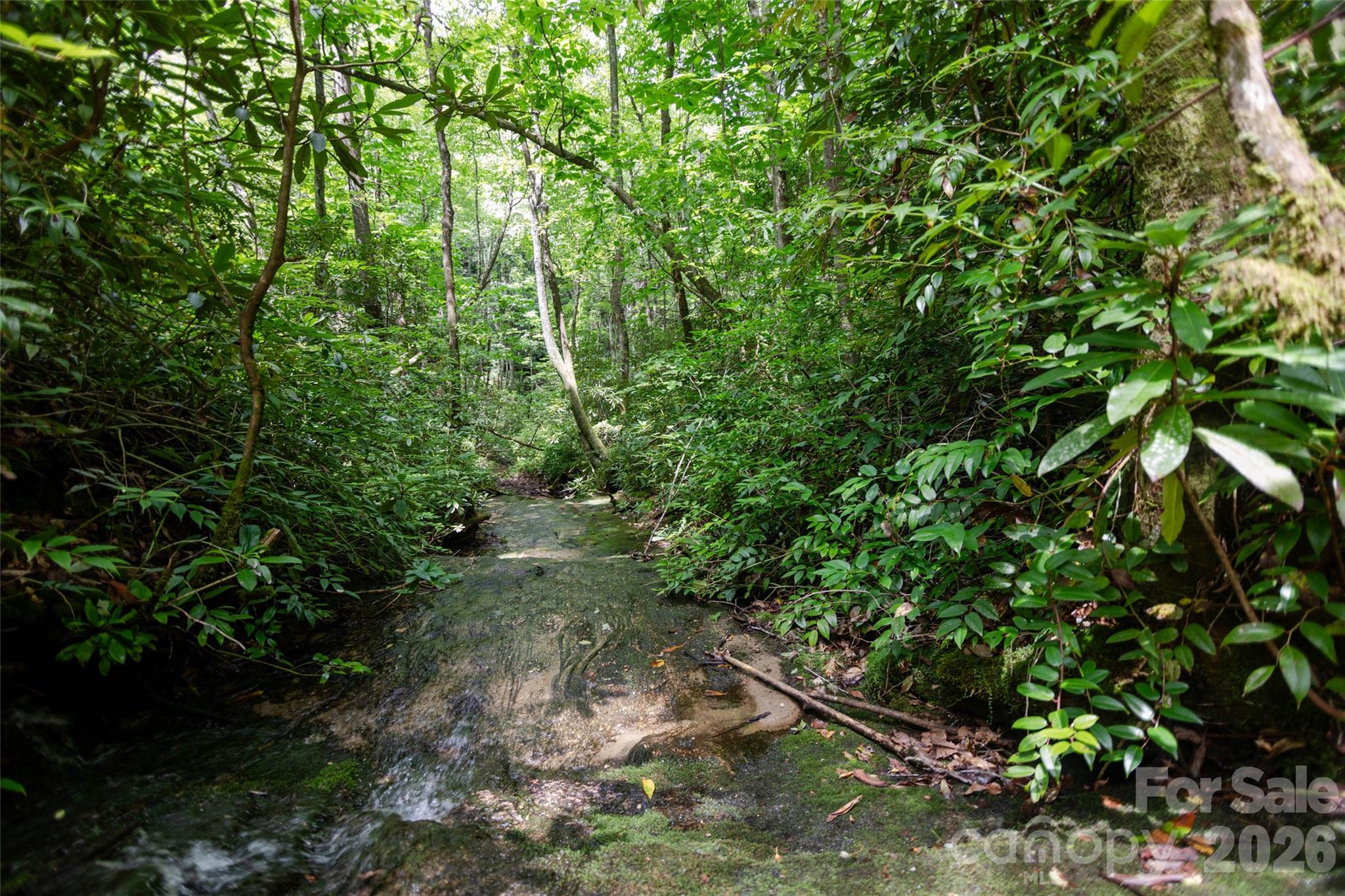 Tbd Nancy Mountain Road Property Photo 19
