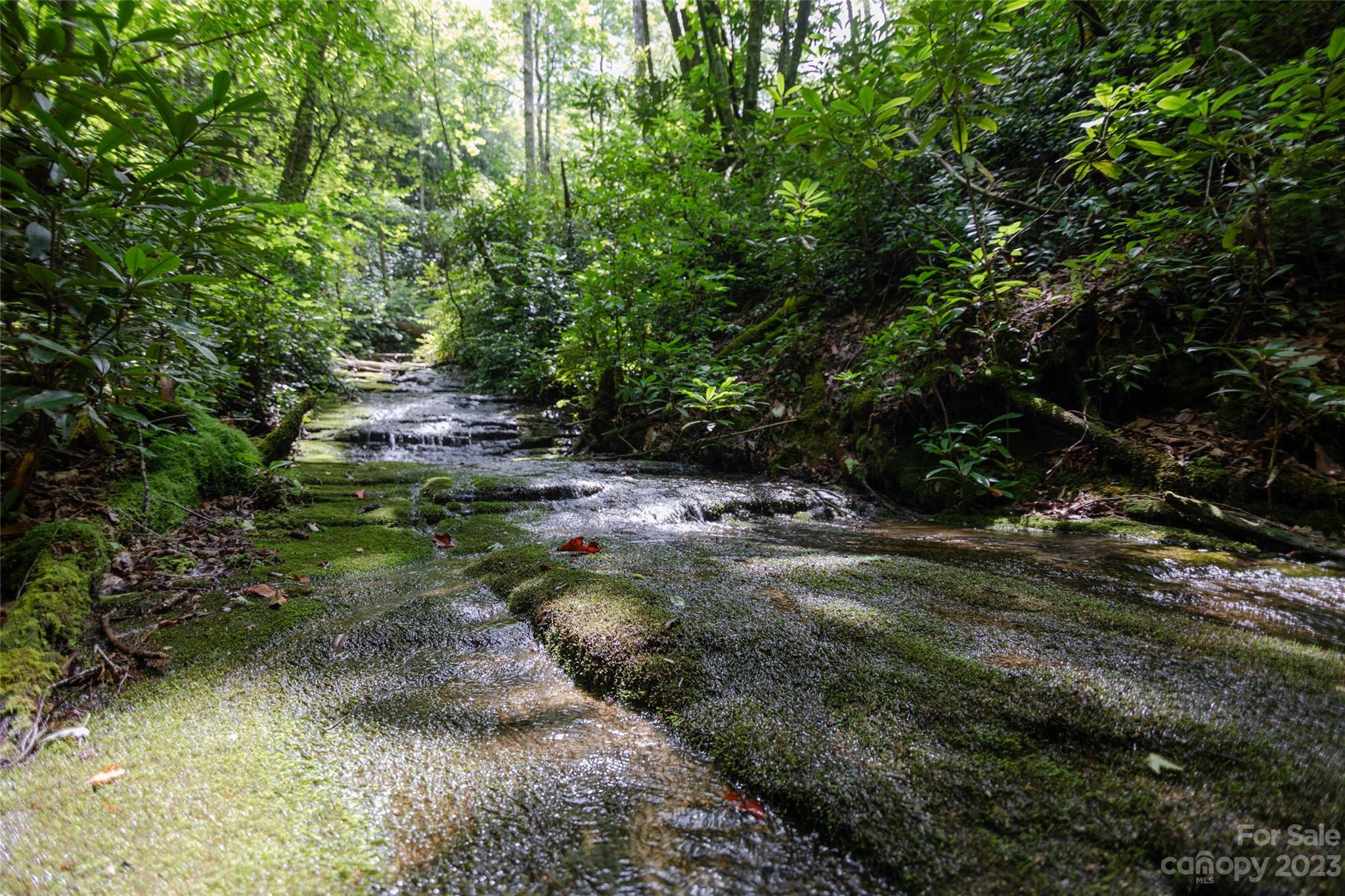 Tbd Nancy Mountain Road Property Photo 20