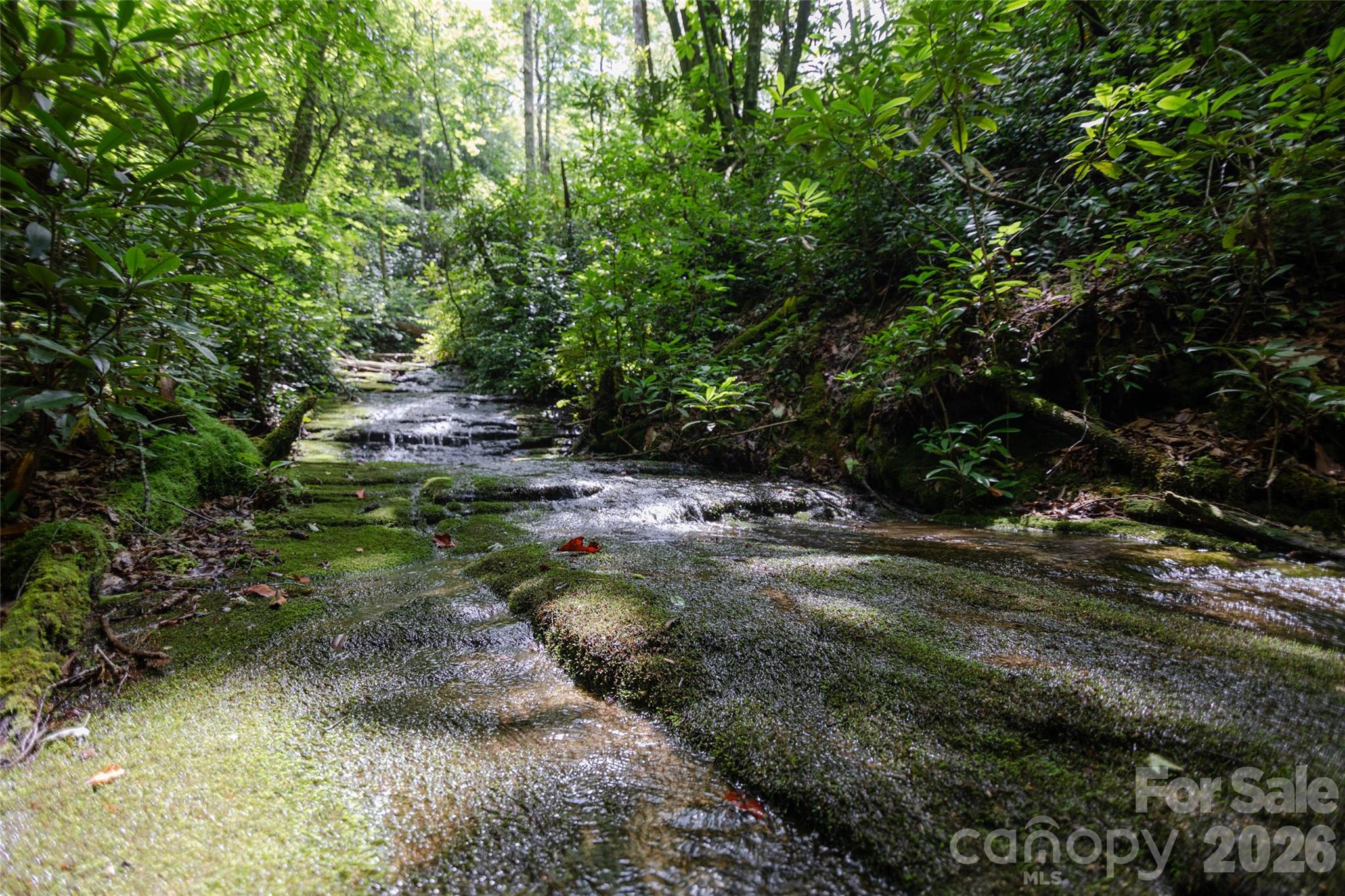 Tbd Nancy Mountain Road Property Photo 20
