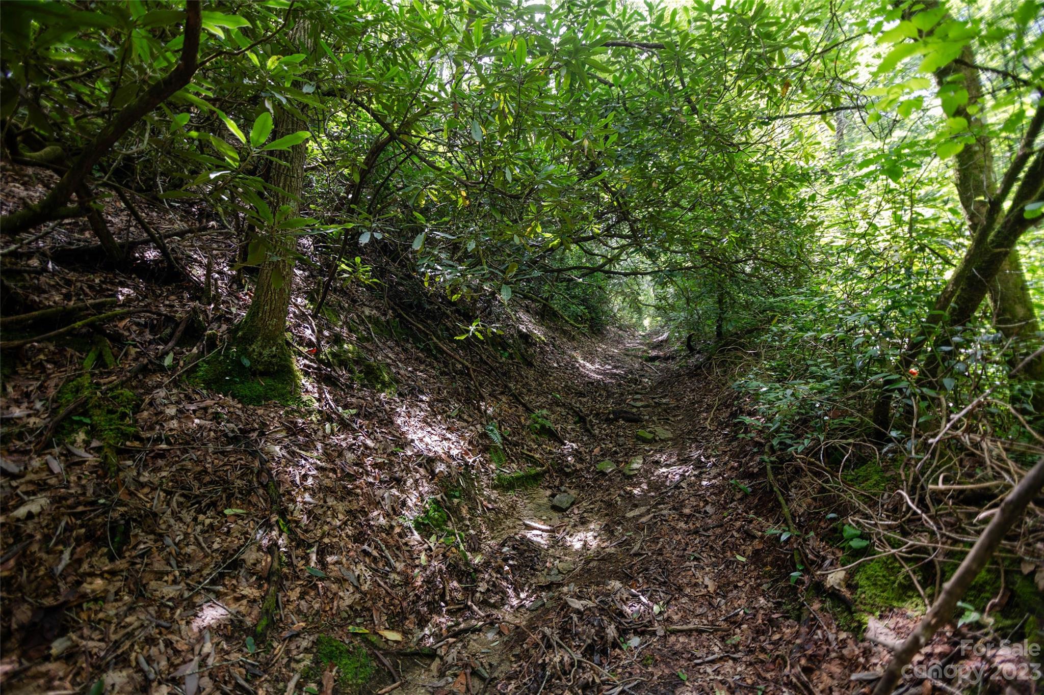 Tbd Nancy Mountain Road Property Photo 21