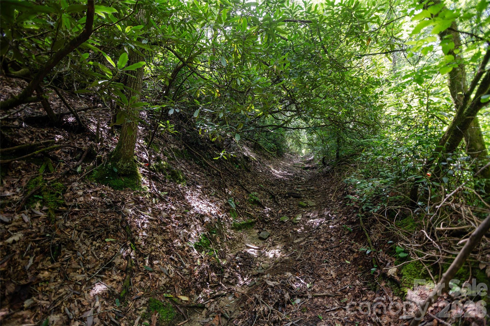 Tbd Nancy Mountain Road Property Photo 21