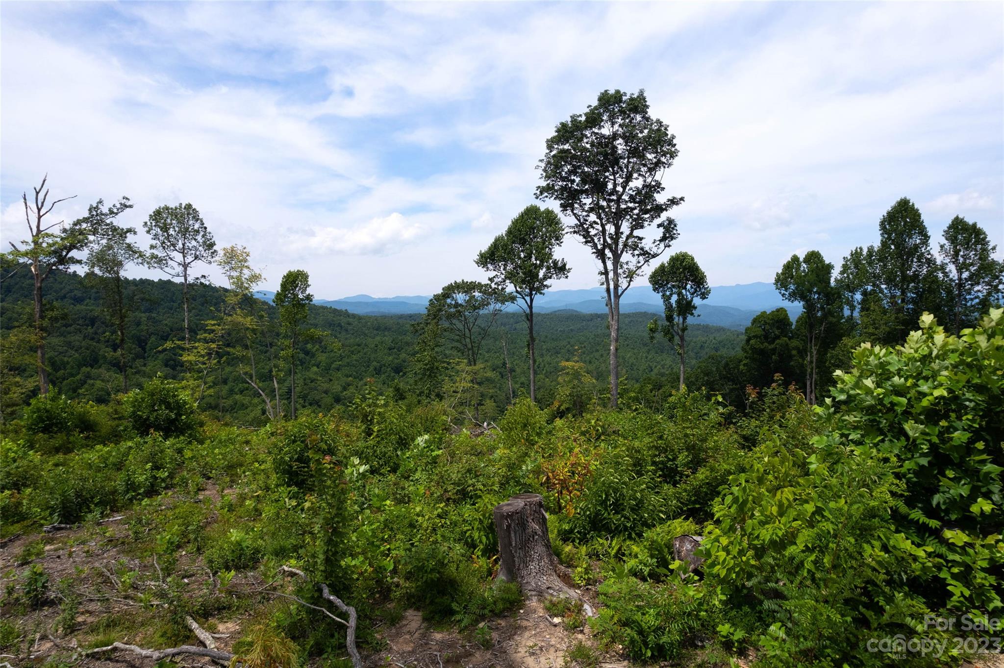 Tbd Nancy Mountain Road Property Photo 32