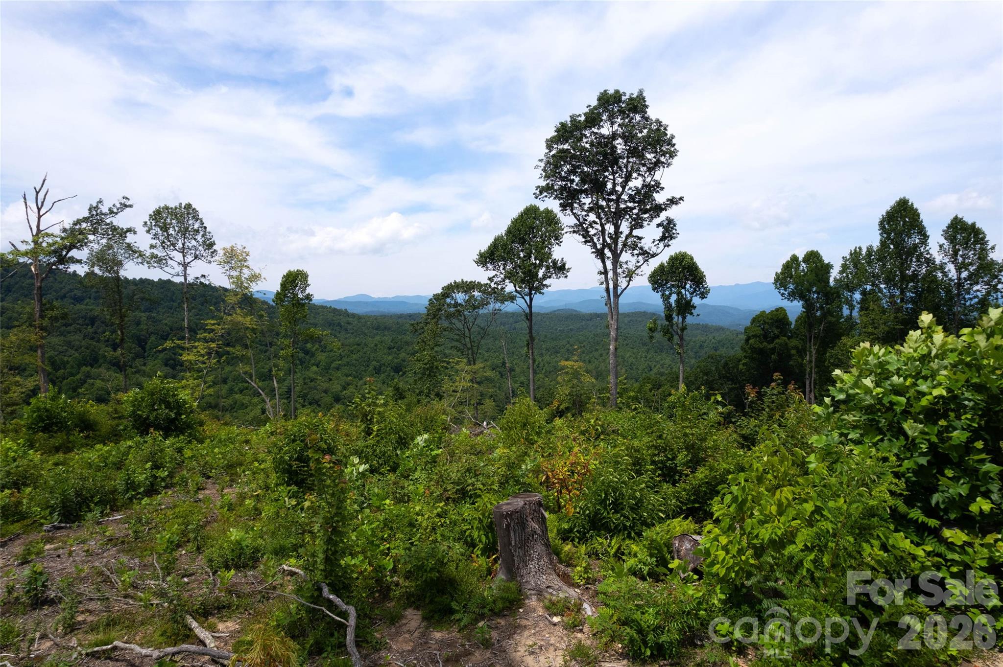 Tbd Nancy Mountain Road Property Photo 32