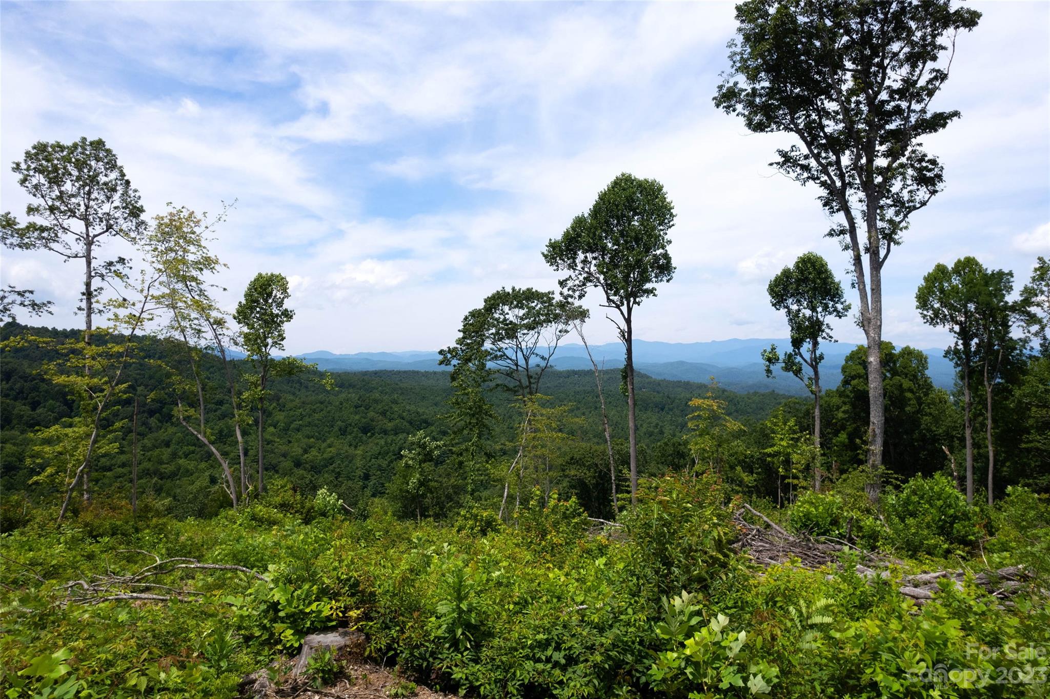 Tbd Nancy Mountain Road Property Photo 33