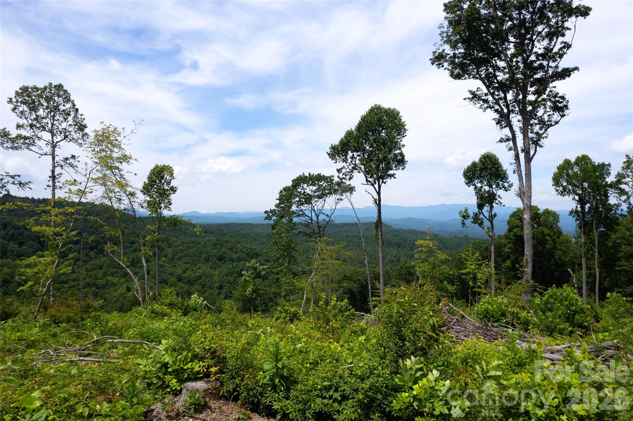 Tbd Nancy Mountain Road Property Photo 33