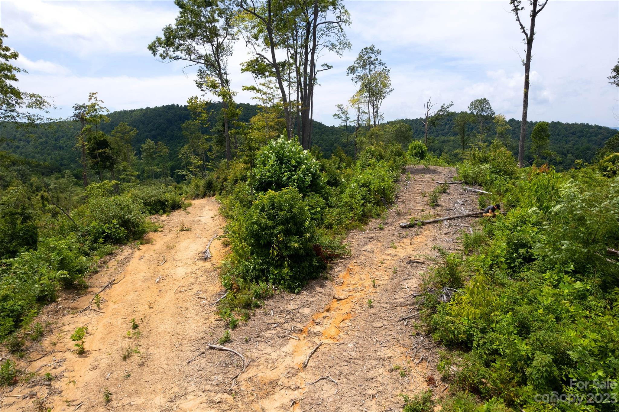 Tbd Nancy Mountain Road Property Photo 34