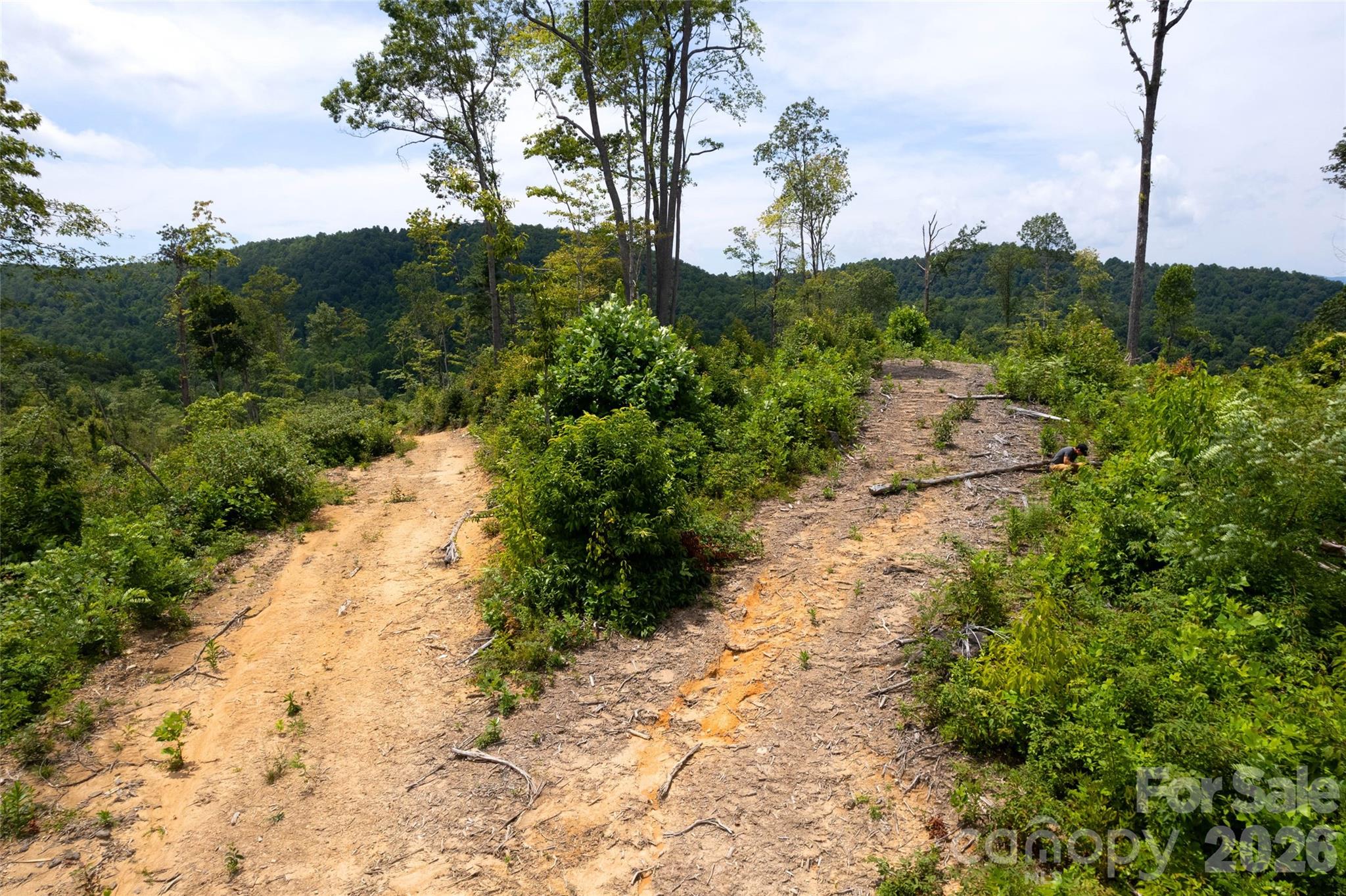 Tbd Nancy Mountain Road Property Photo 34