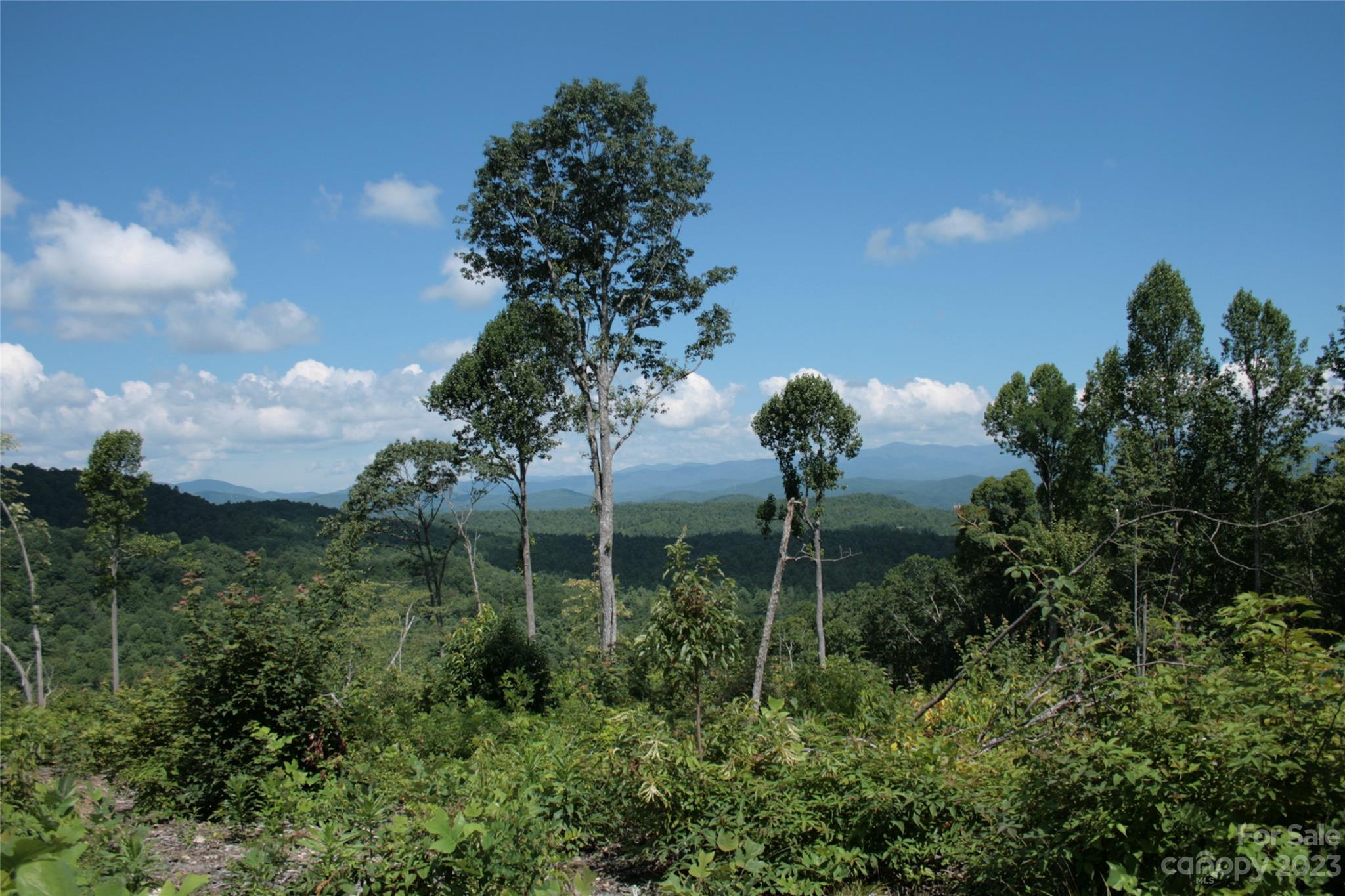 Tbd Nancy Mountain Road Property Photo 35