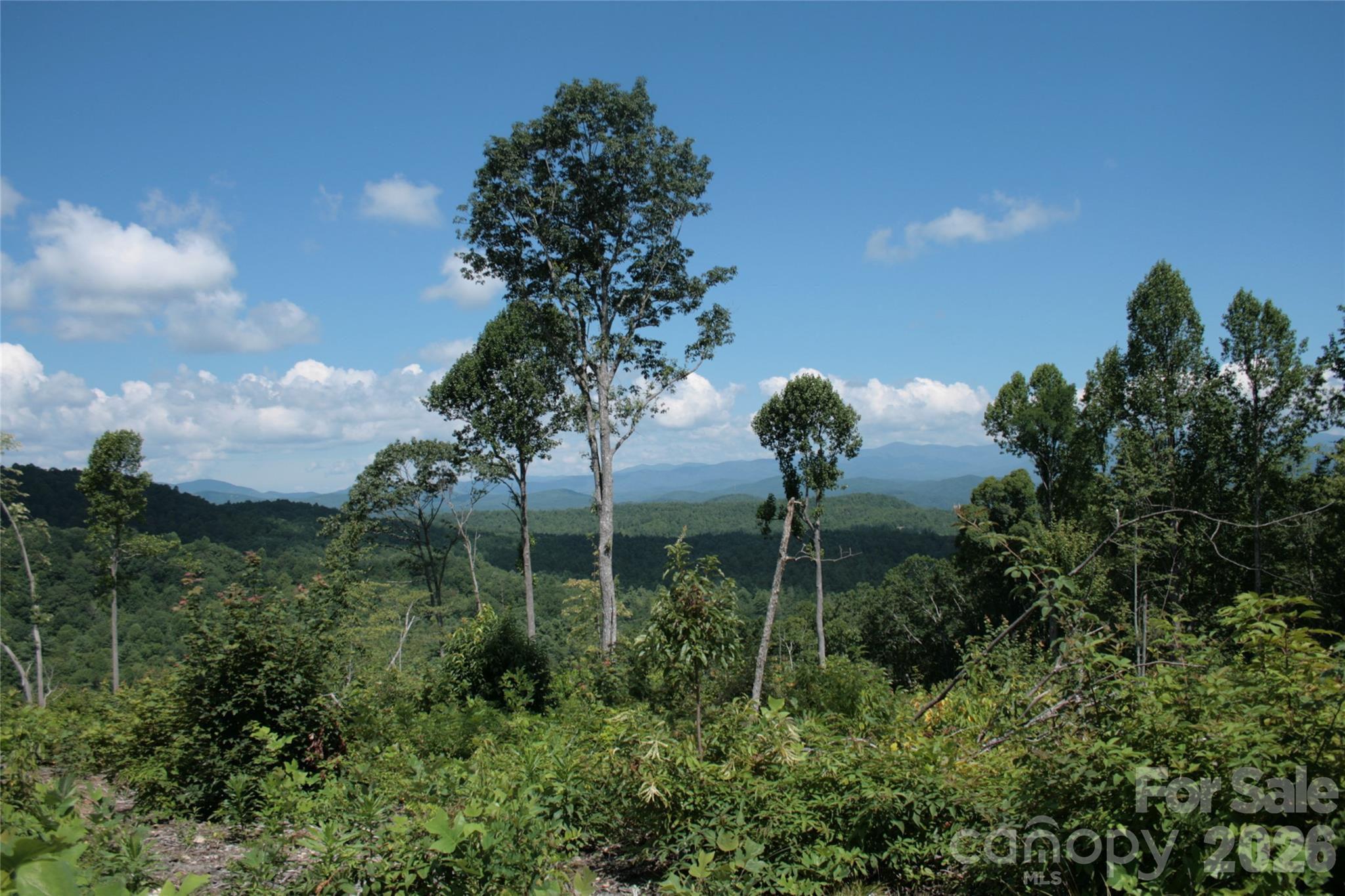 Tbd Nancy Mountain Road Property Photo 35