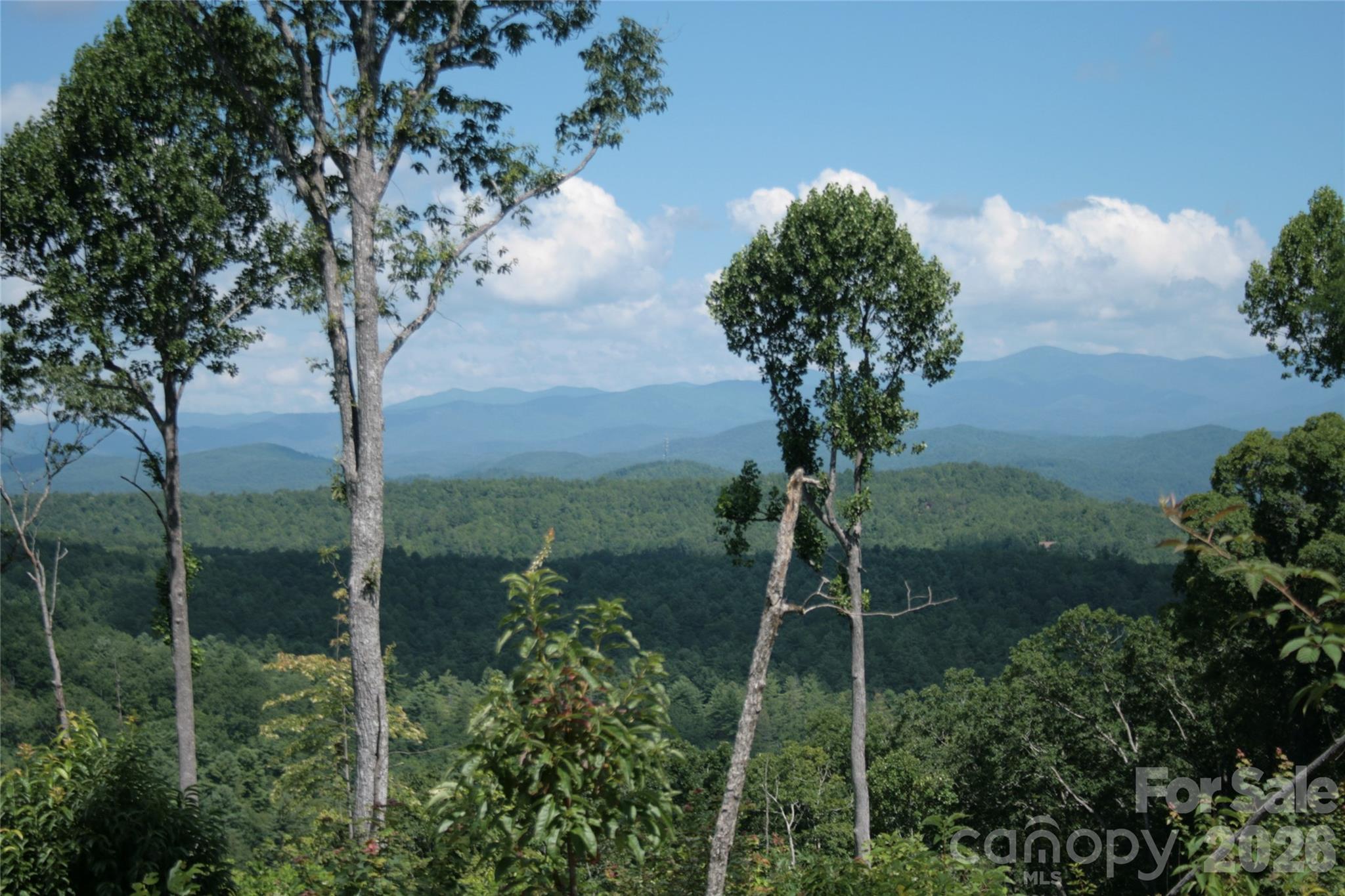 Tbd Nancy Mountain Road Property Photo 36