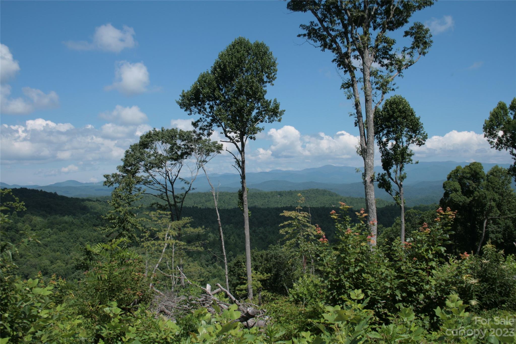 Tbd Nancy Mountain Road Property Photo 37