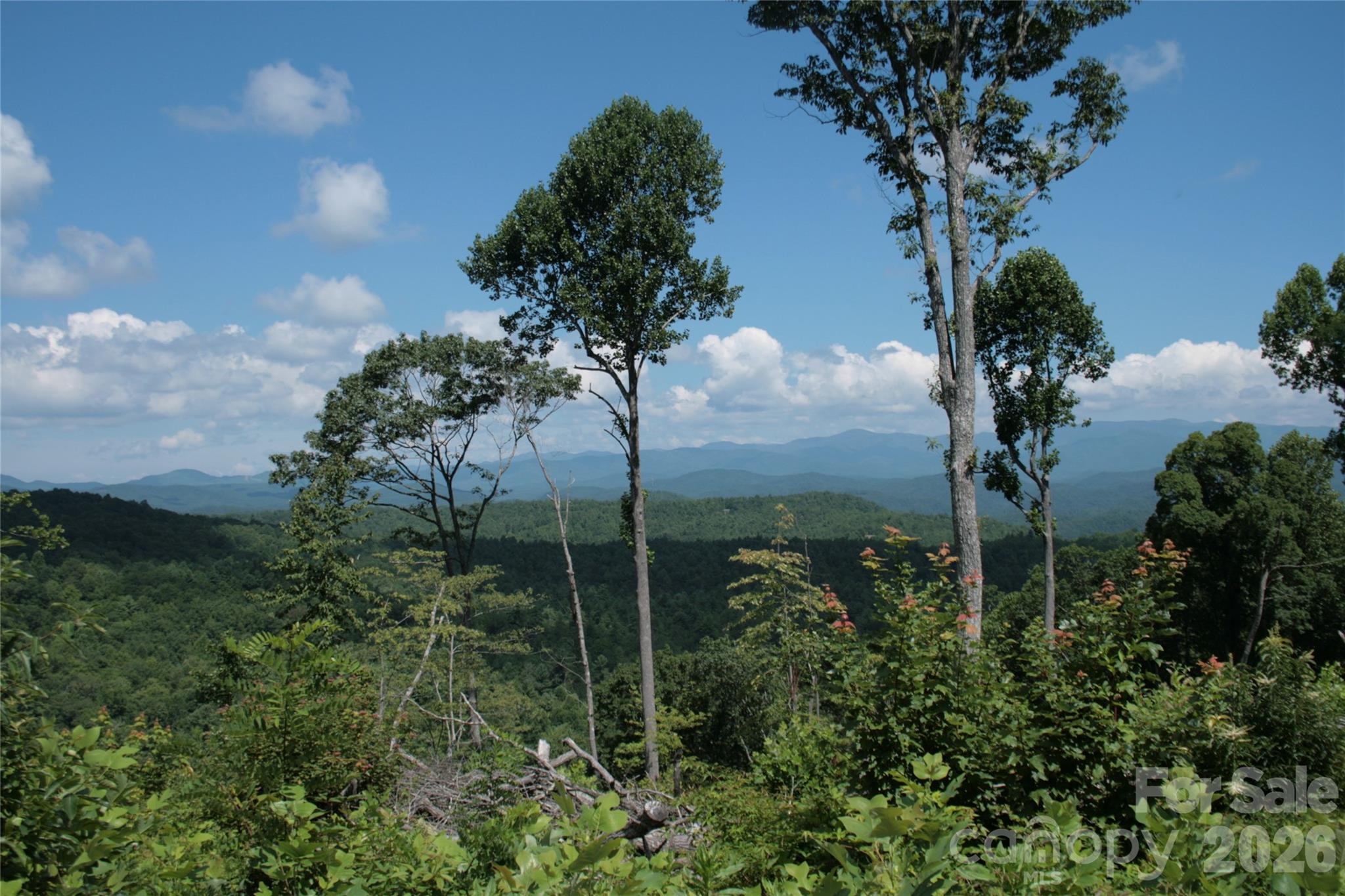 Tbd Nancy Mountain Road Property Photo 37