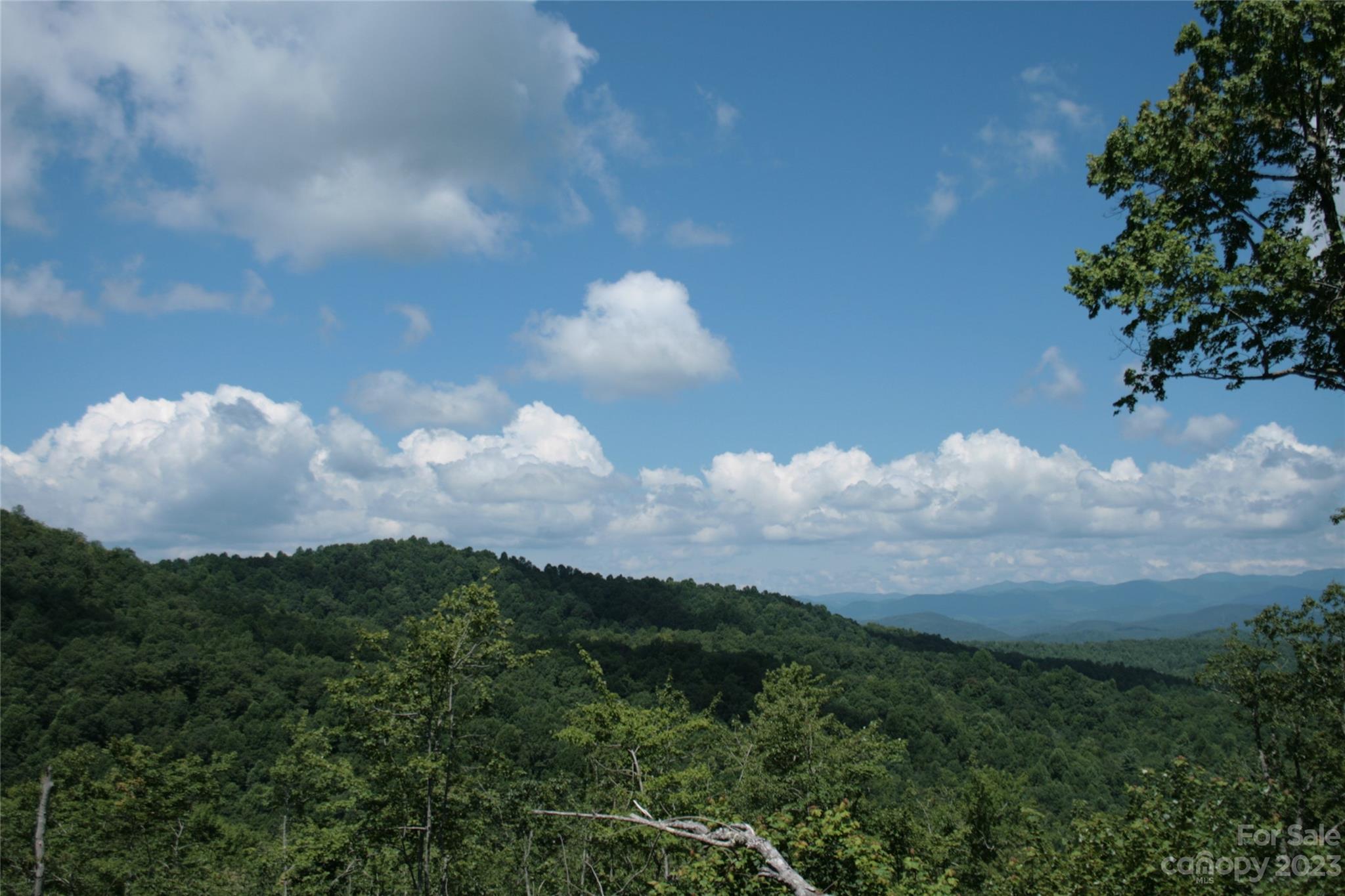 Tbd Nancy Mountain Road Property Photo 38