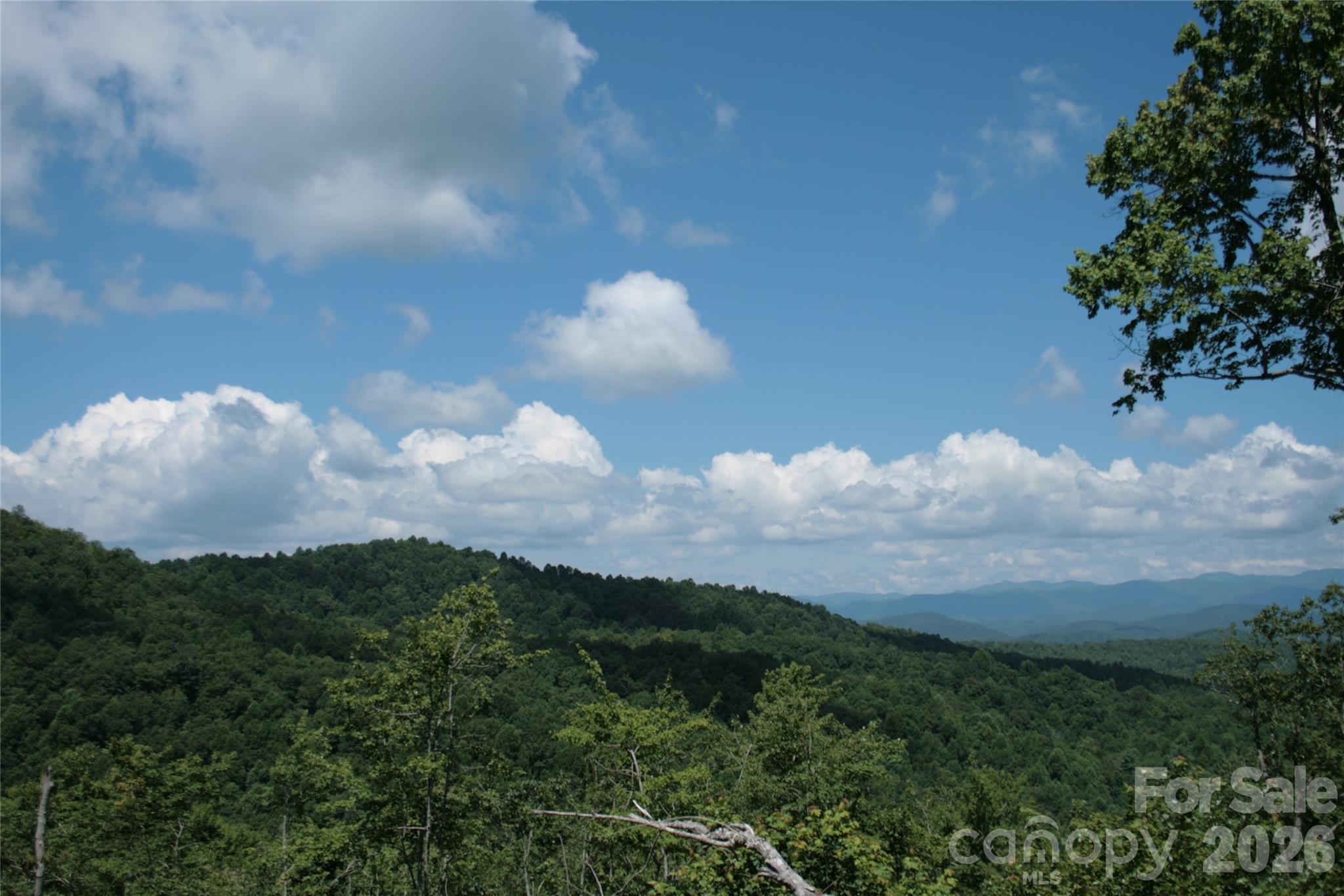 Tbd Nancy Mountain Road Property Photo 38
