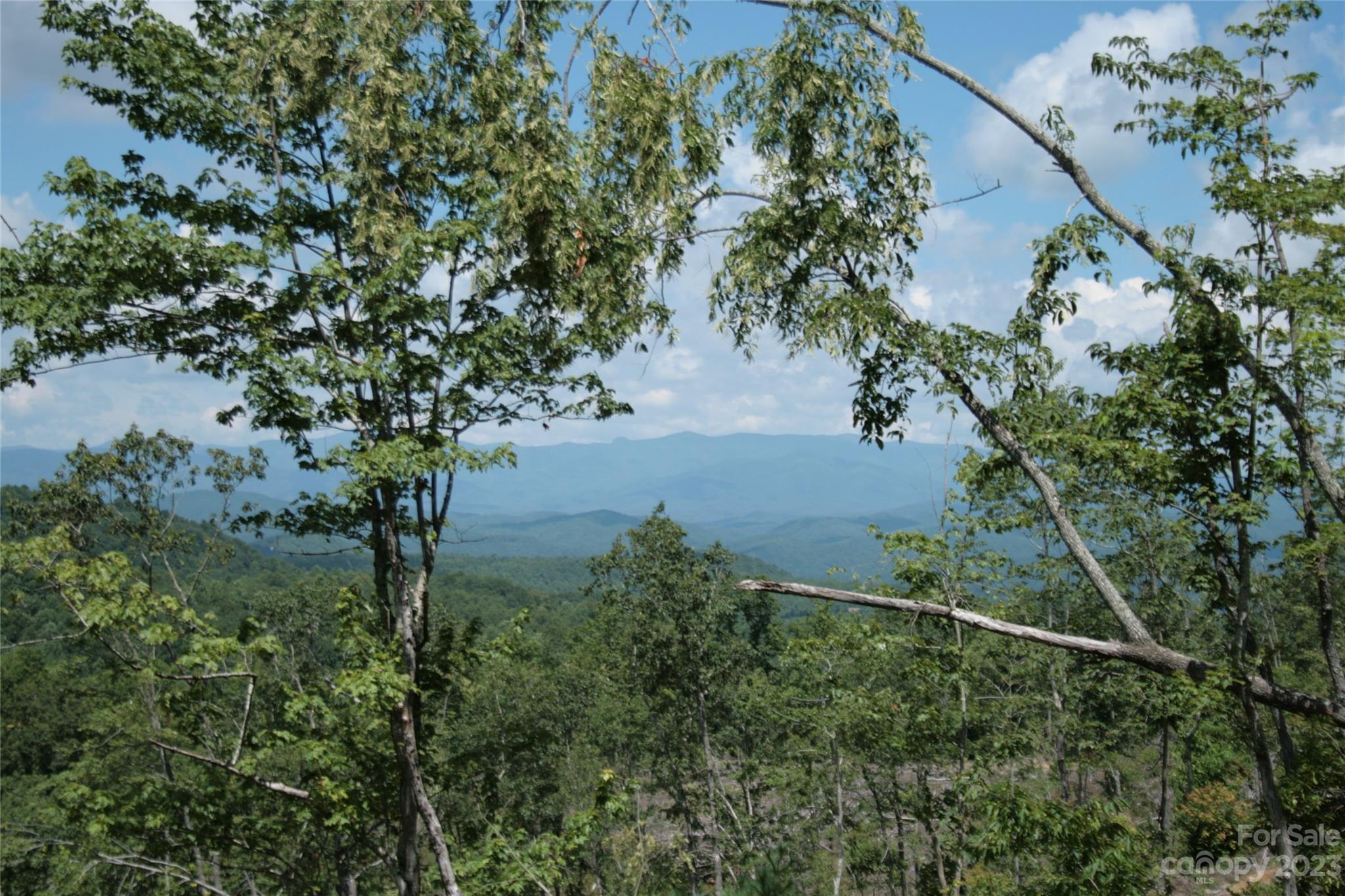Tbd Nancy Mountain Road Property Photo 39