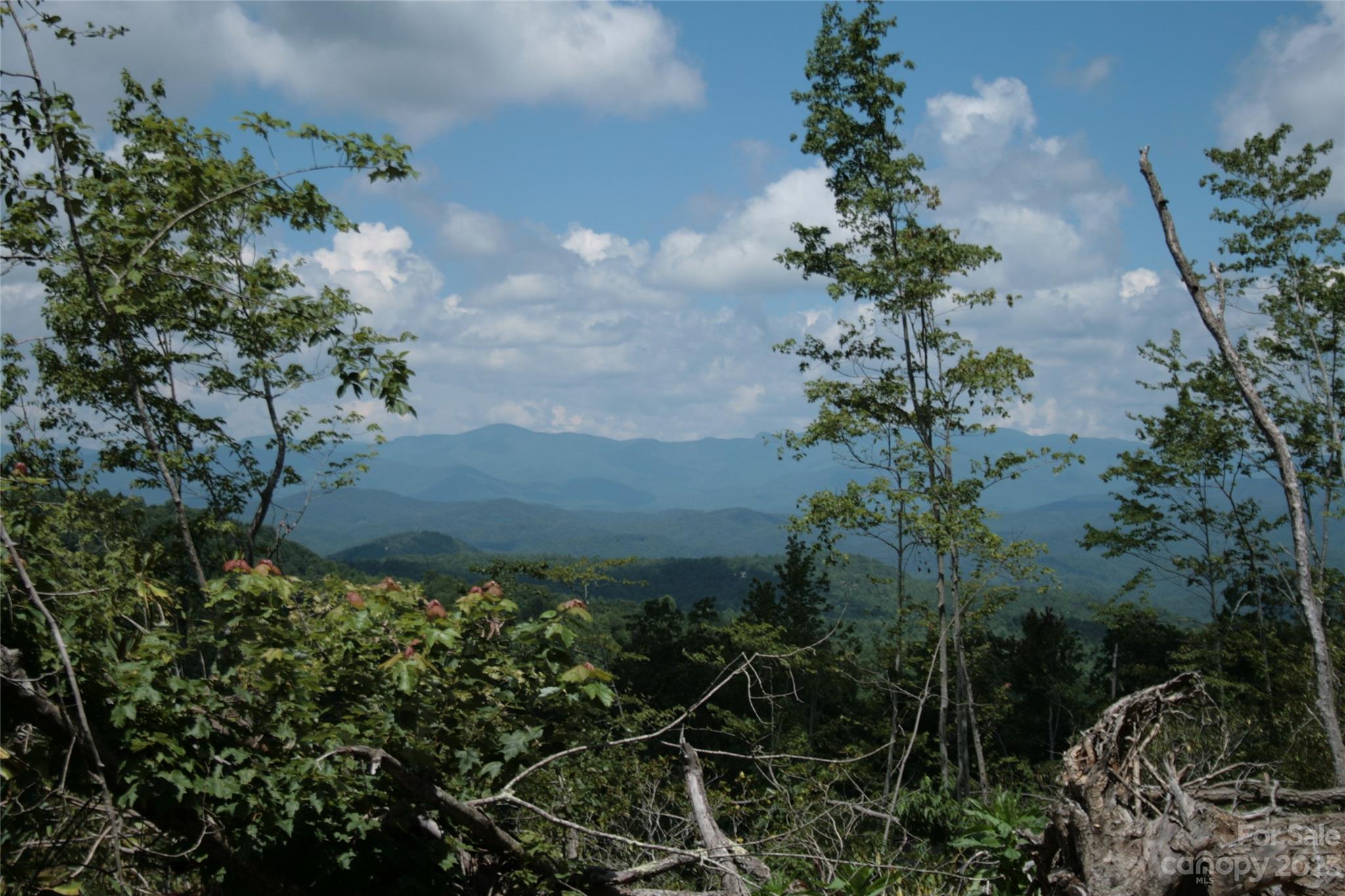 Tbd Nancy Mountain Road Property Photo 40