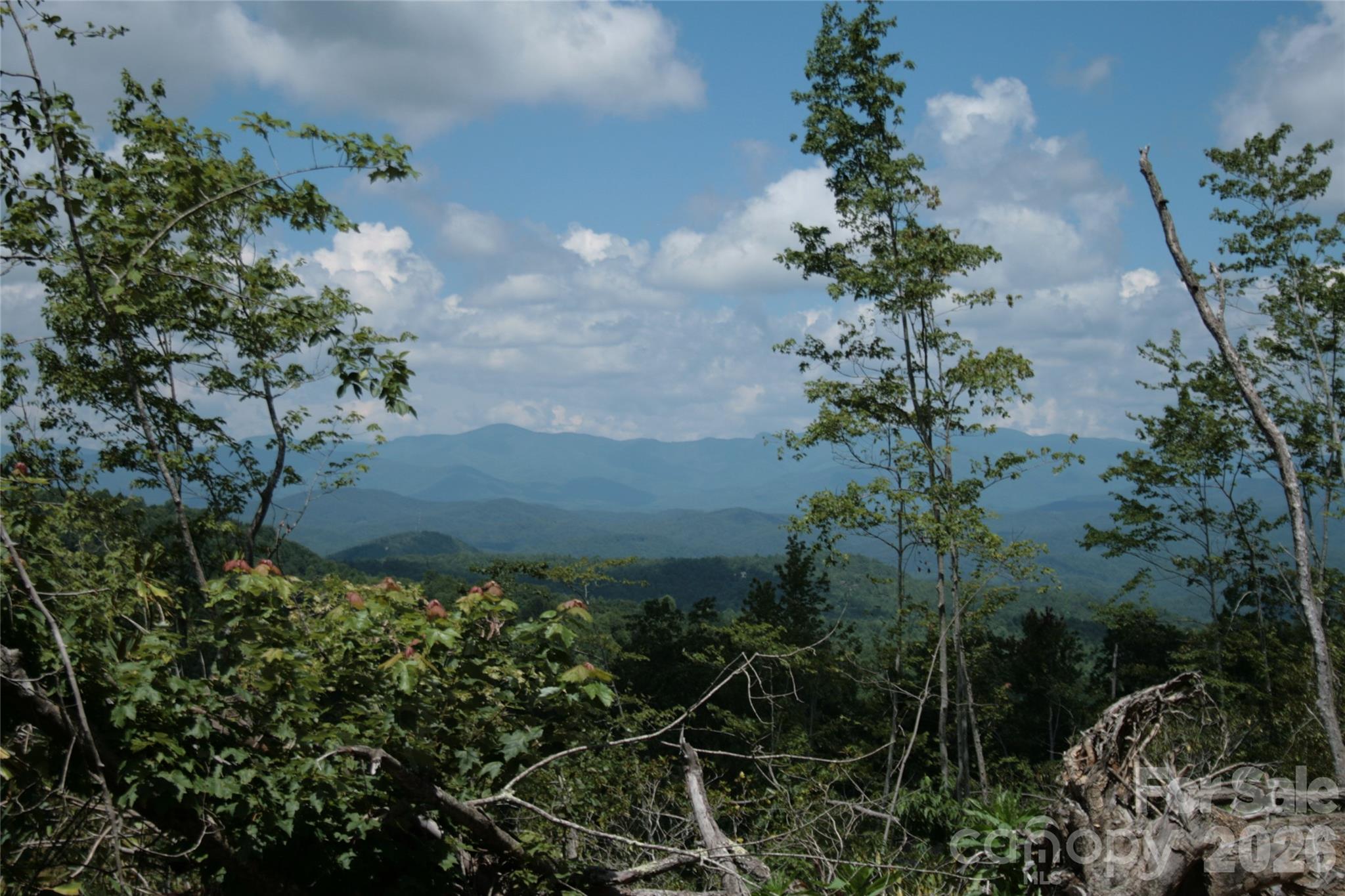 Tbd Nancy Mountain Road Property Photo 40