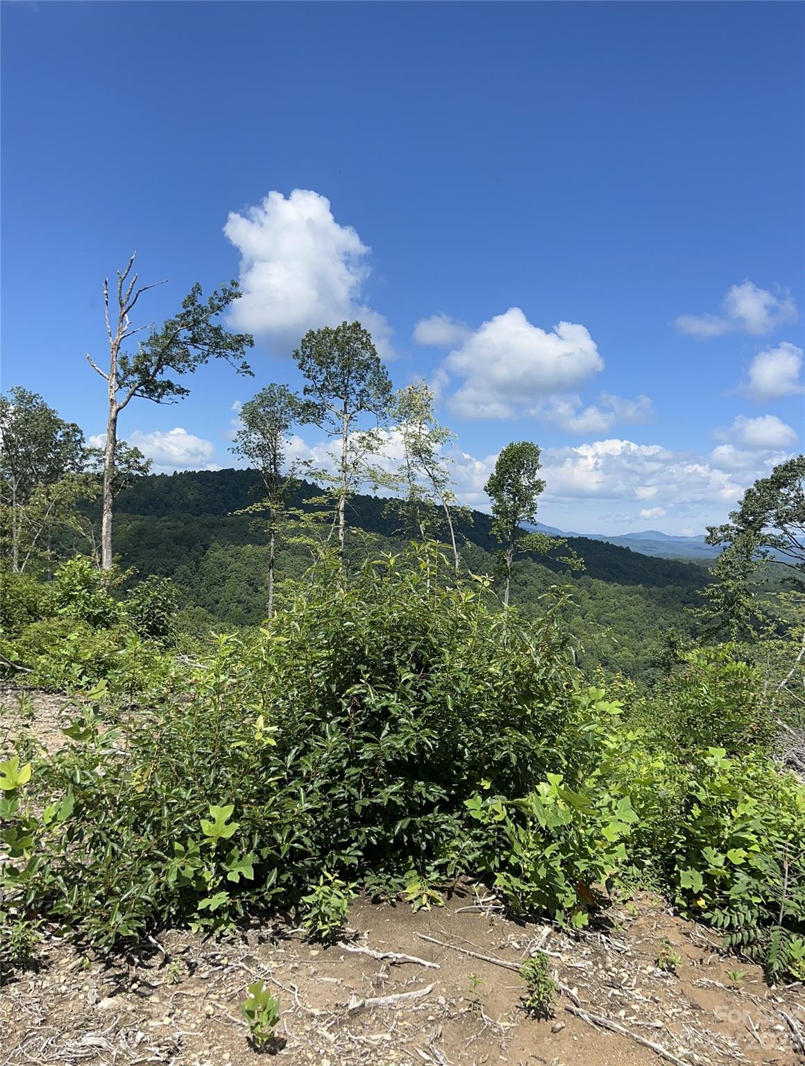 Tbd Nancy Mountain Road Property Photo 41