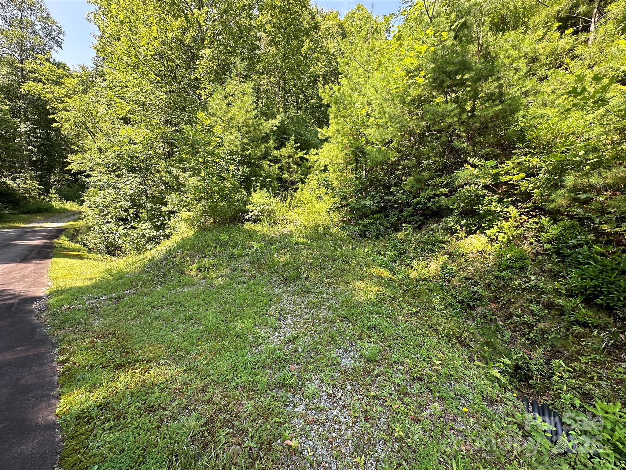 43 Abby Falls Drive 43 Property Photo 4