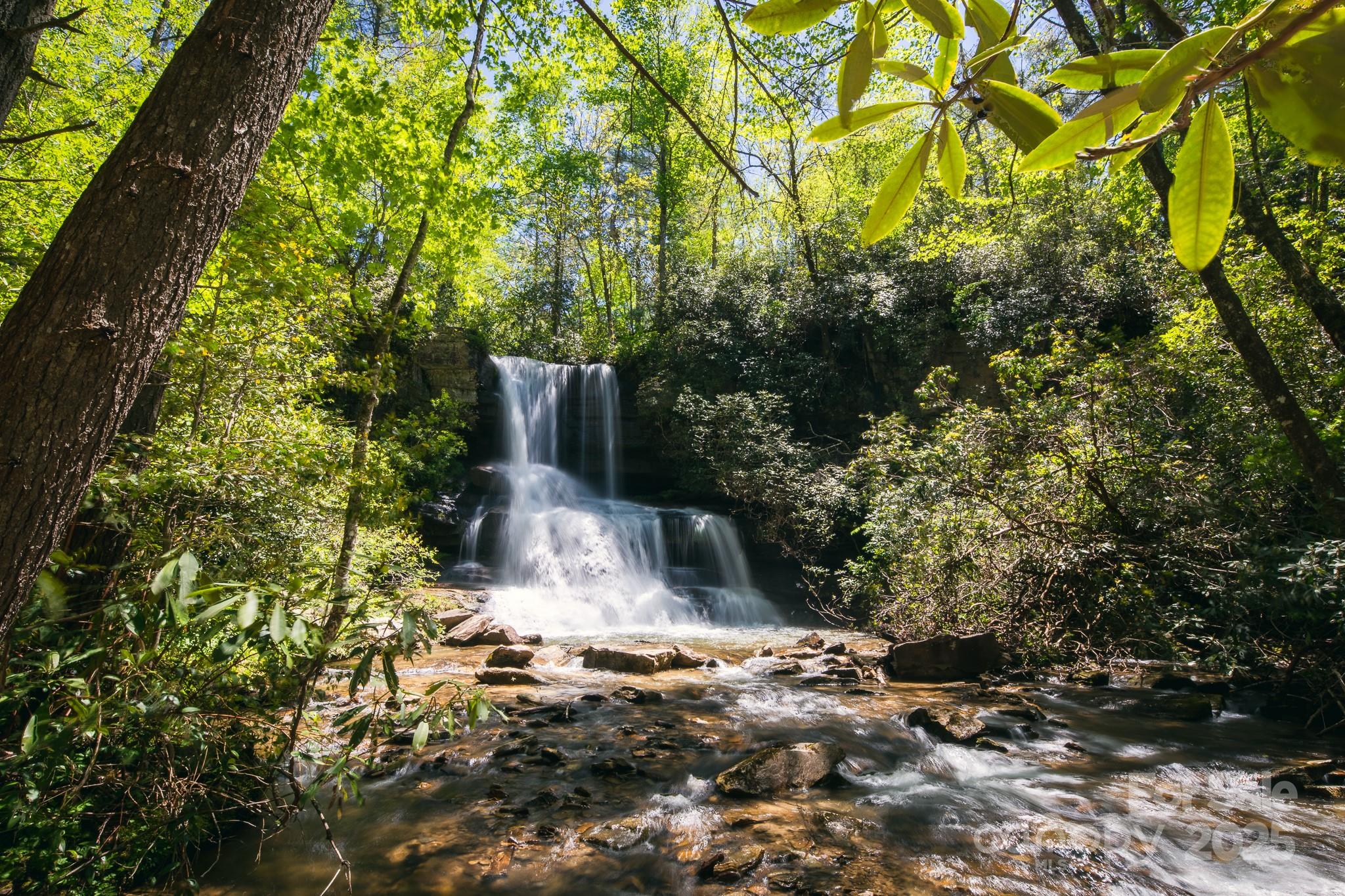 43 Abby Falls Drive 43 Property Photo 9
