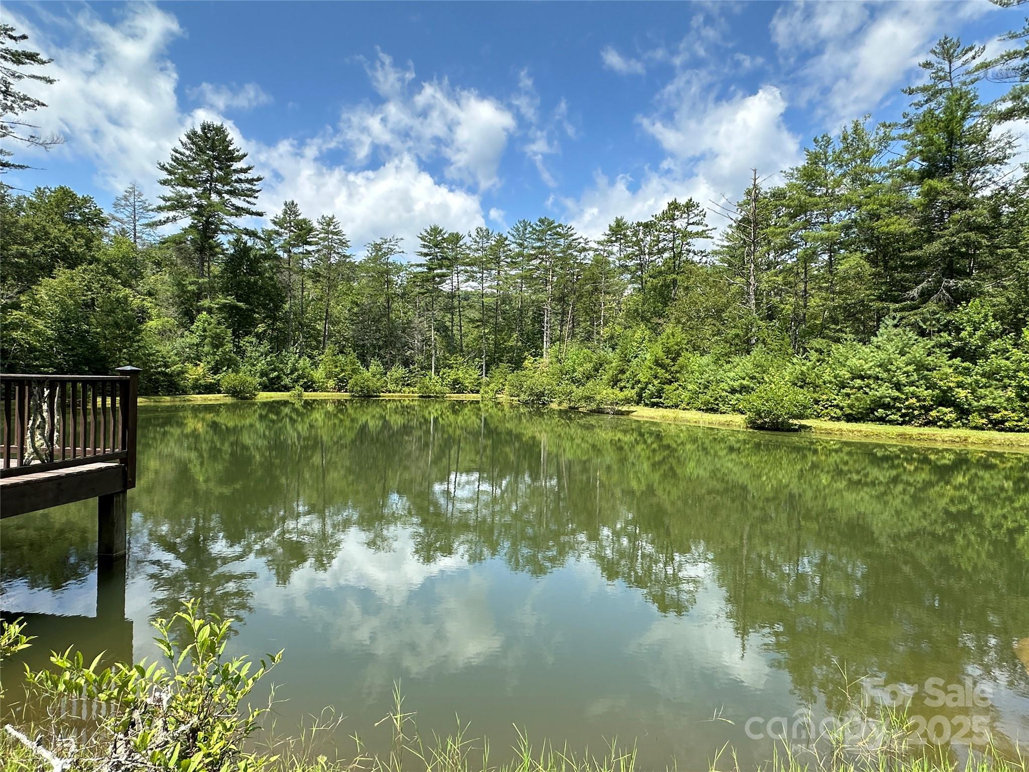 43 Abby Falls Drive 43 Property Photo 10