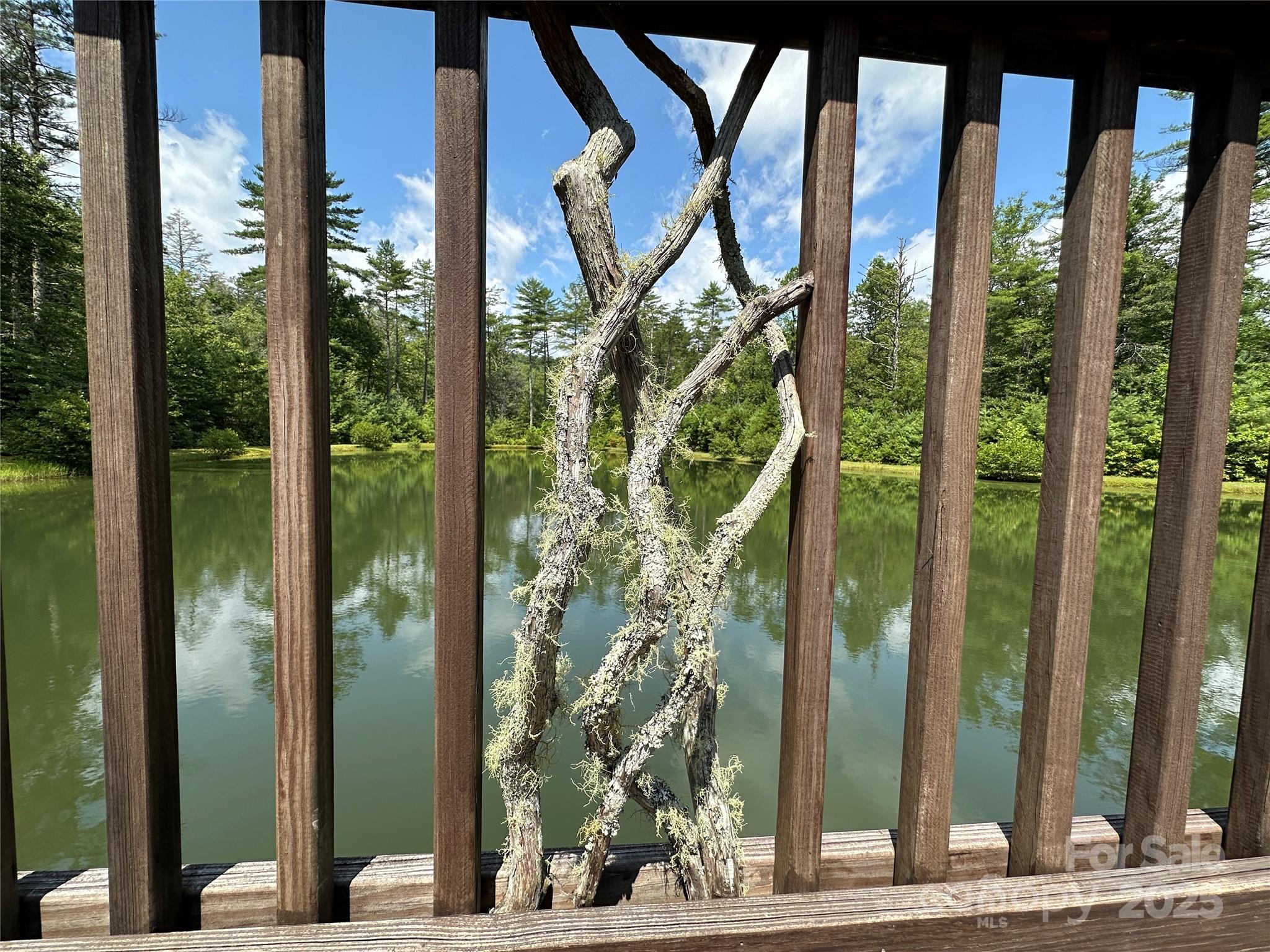 43 Abby Falls Drive 43 Property Photo 12