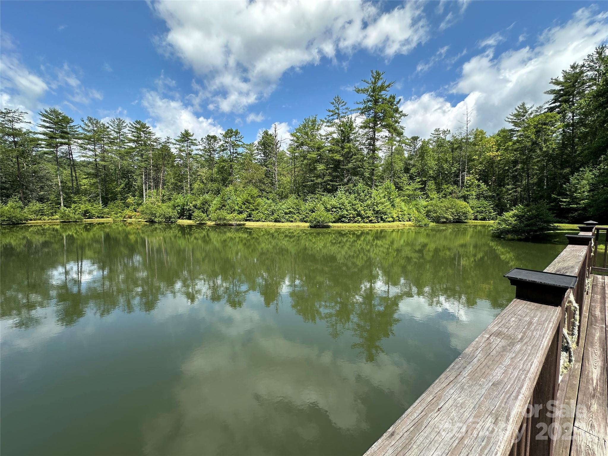 43 Abby Falls Drive 43 Property Photo 13