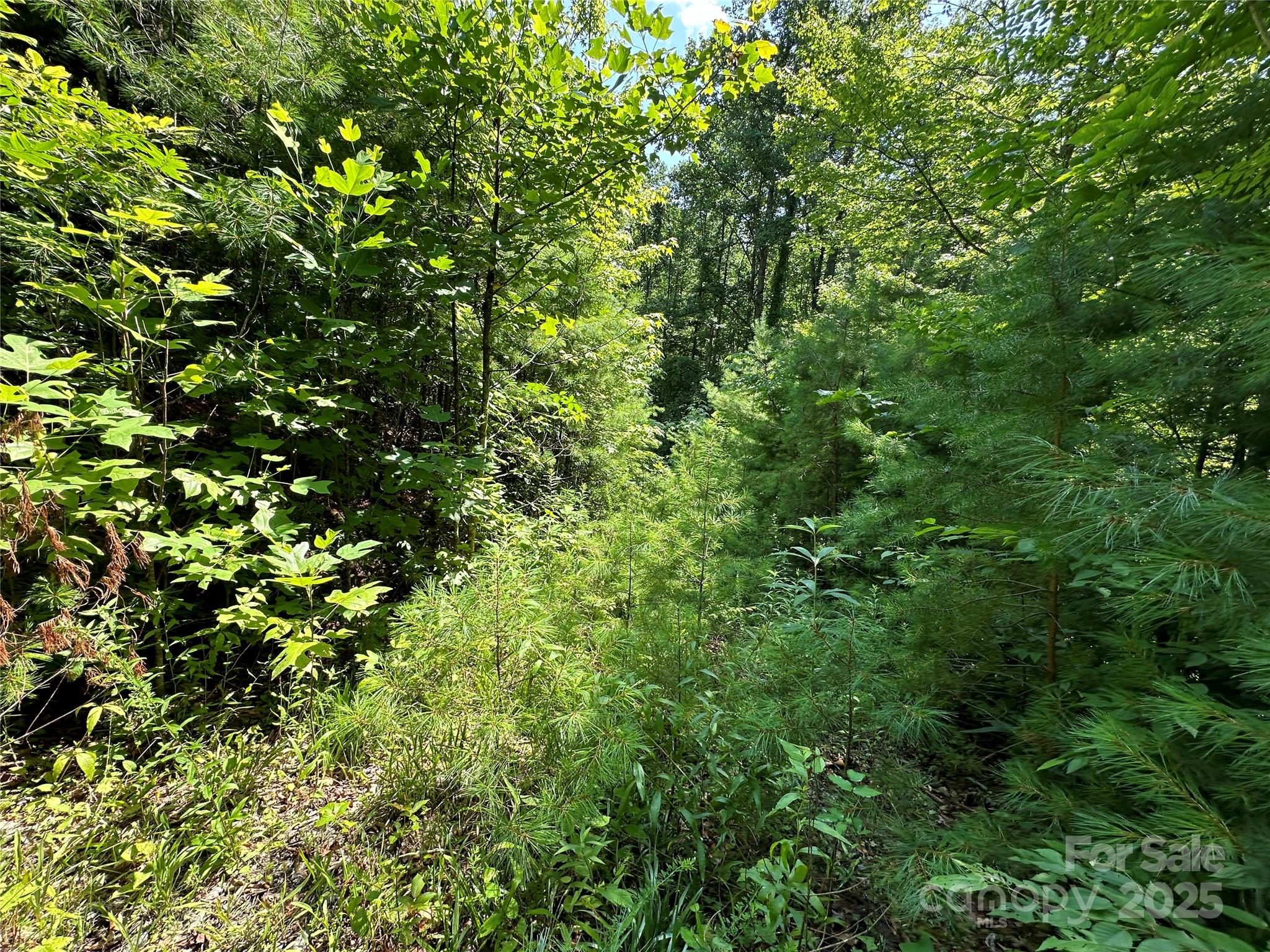 43 Abby Falls Drive 43 Property Photo 15