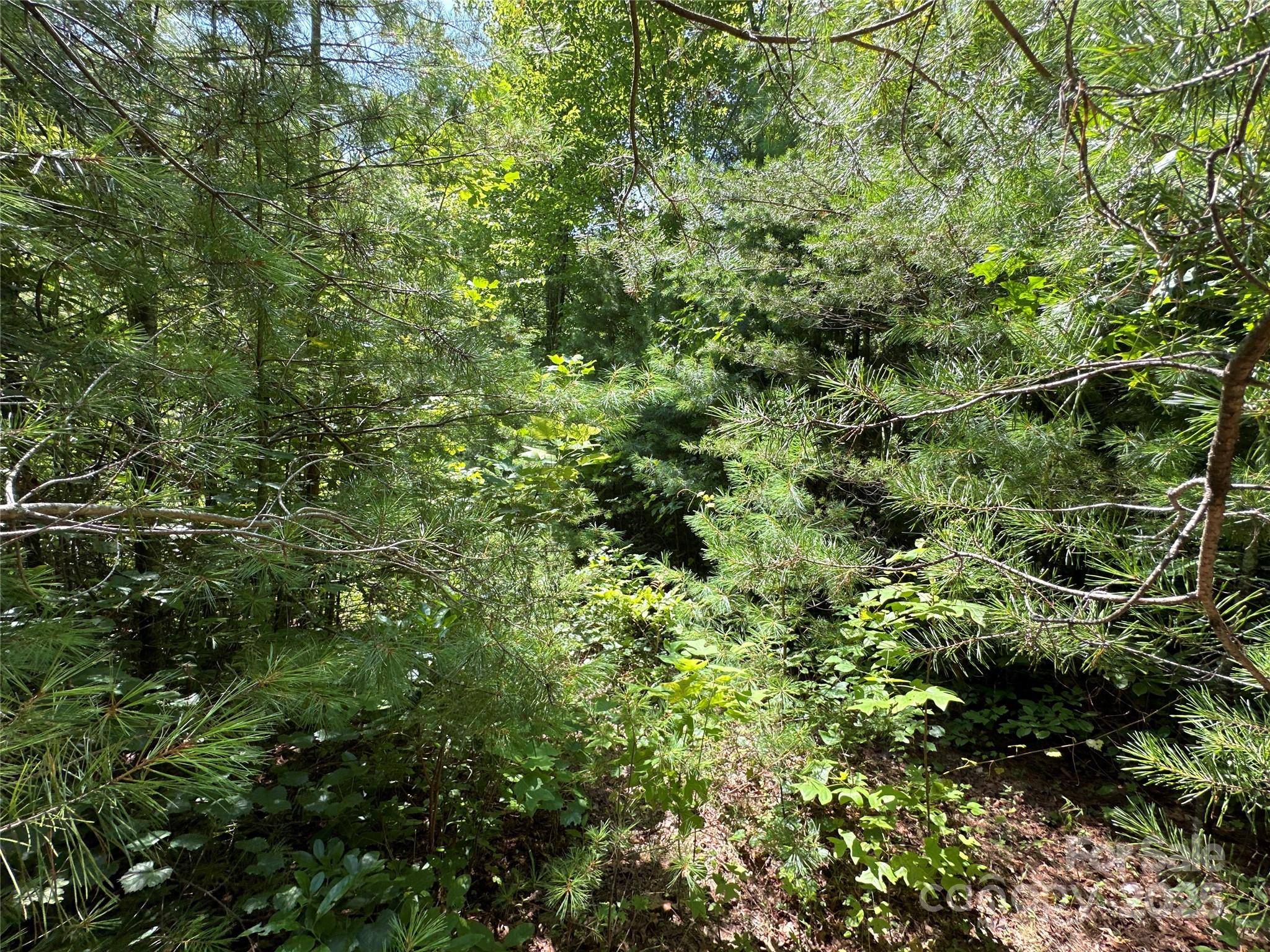 43 Abby Falls Drive 43 Property Photo 16