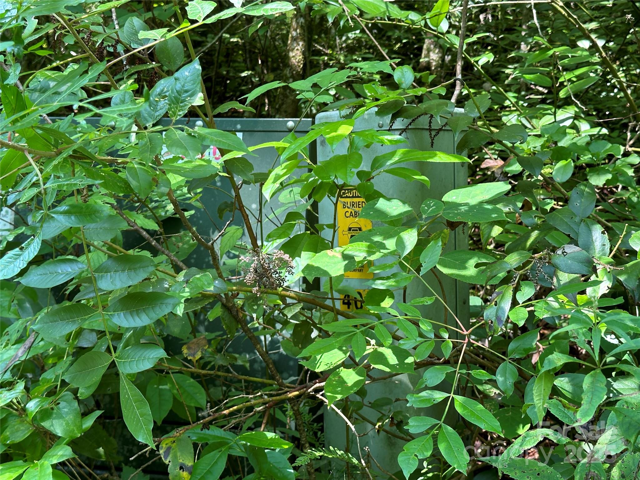 43 Abby Falls Drive 43 Property Photo 17