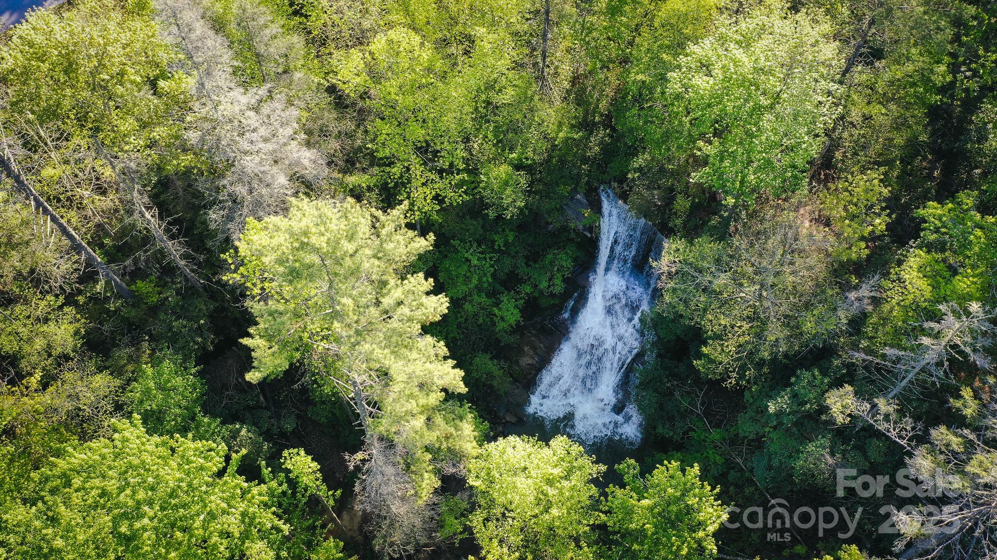 43 Abby Falls Drive 43 Property Photo 19