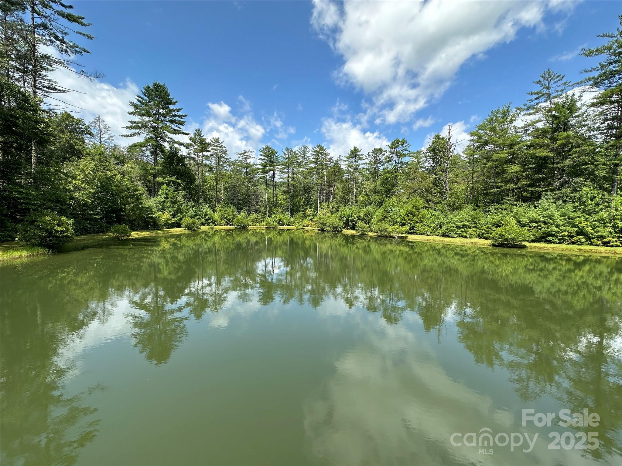 43 Abby Falls Drive 43 Property Photo 25