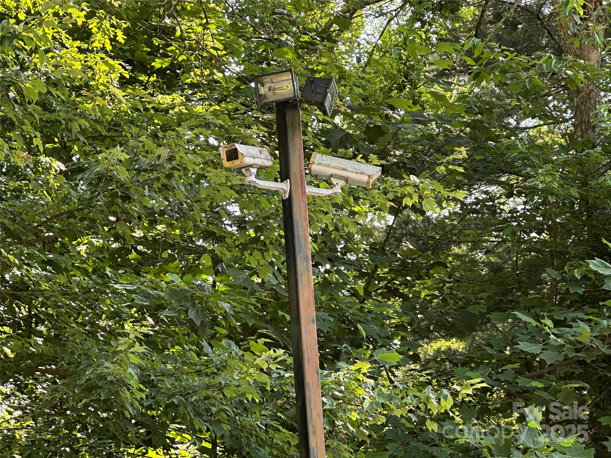 43 Abby Falls Drive 43 Property Photo 28