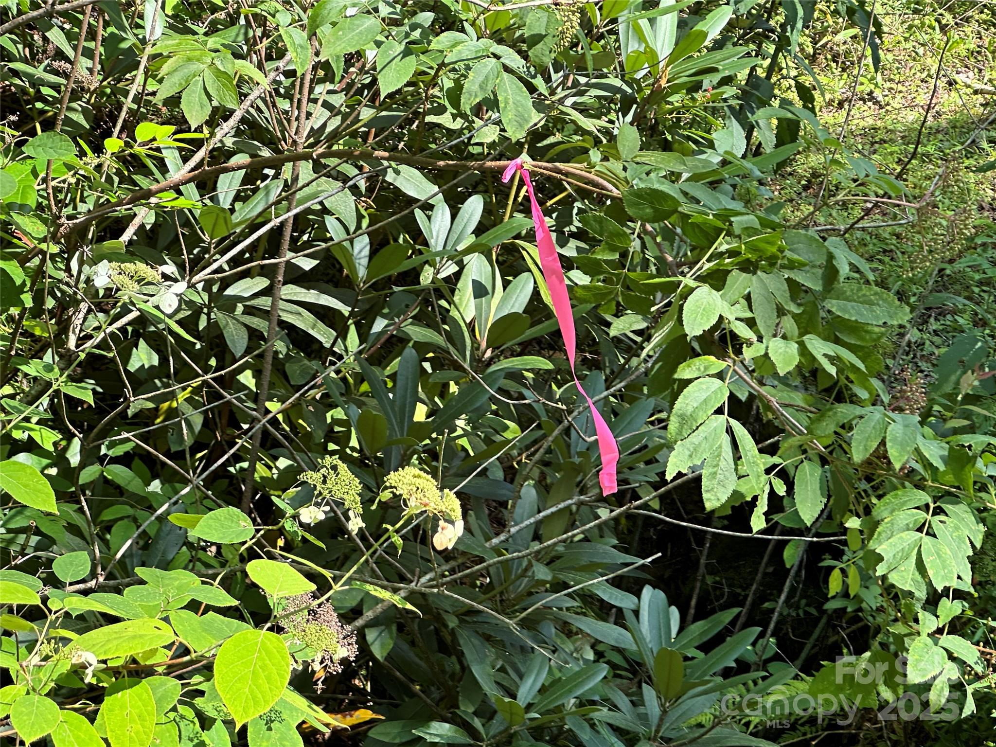 43 Abby Falls Drive 43 Property Photo 29