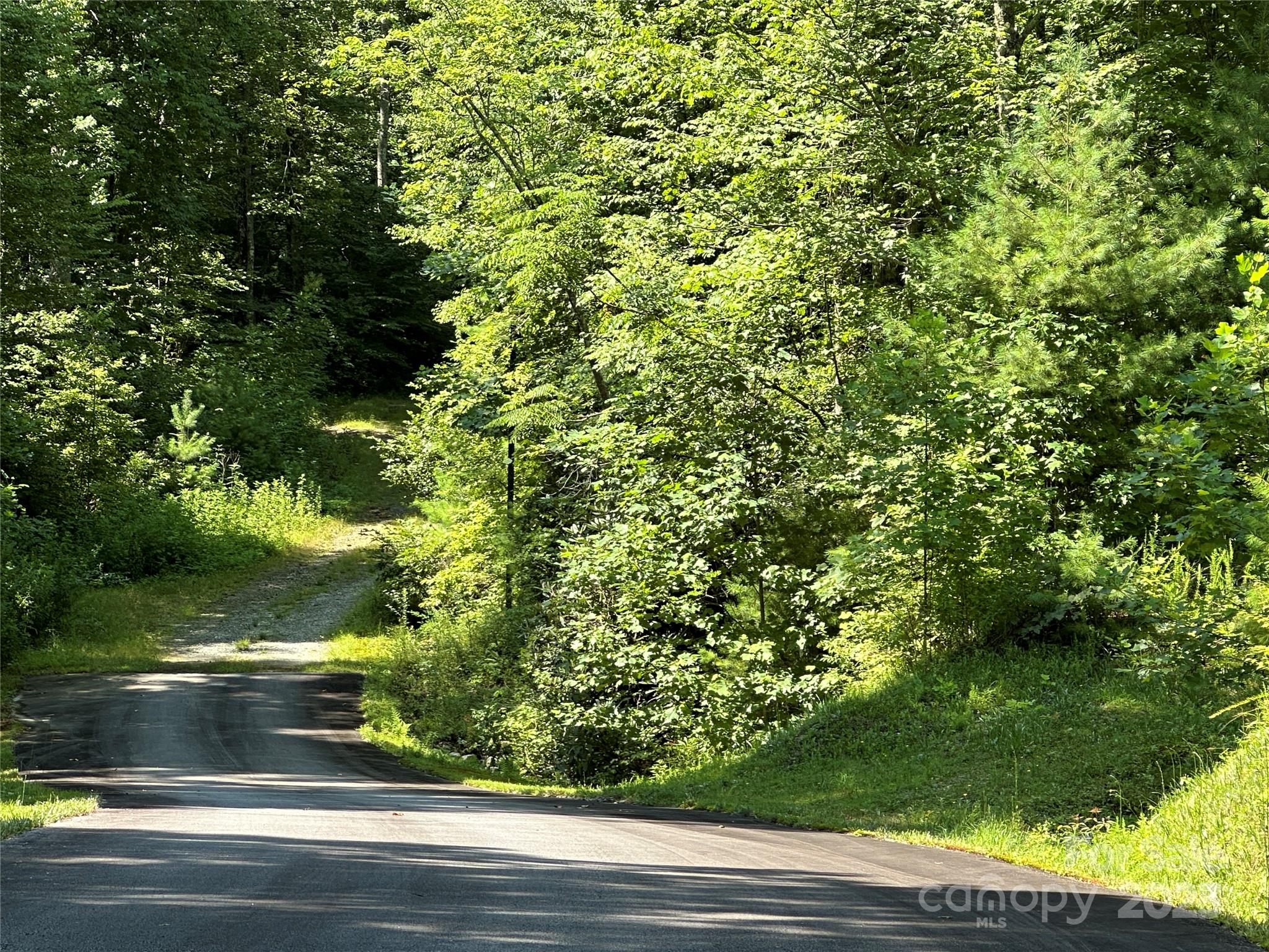 43 Abby Falls Drive 43 Property Photo 30
