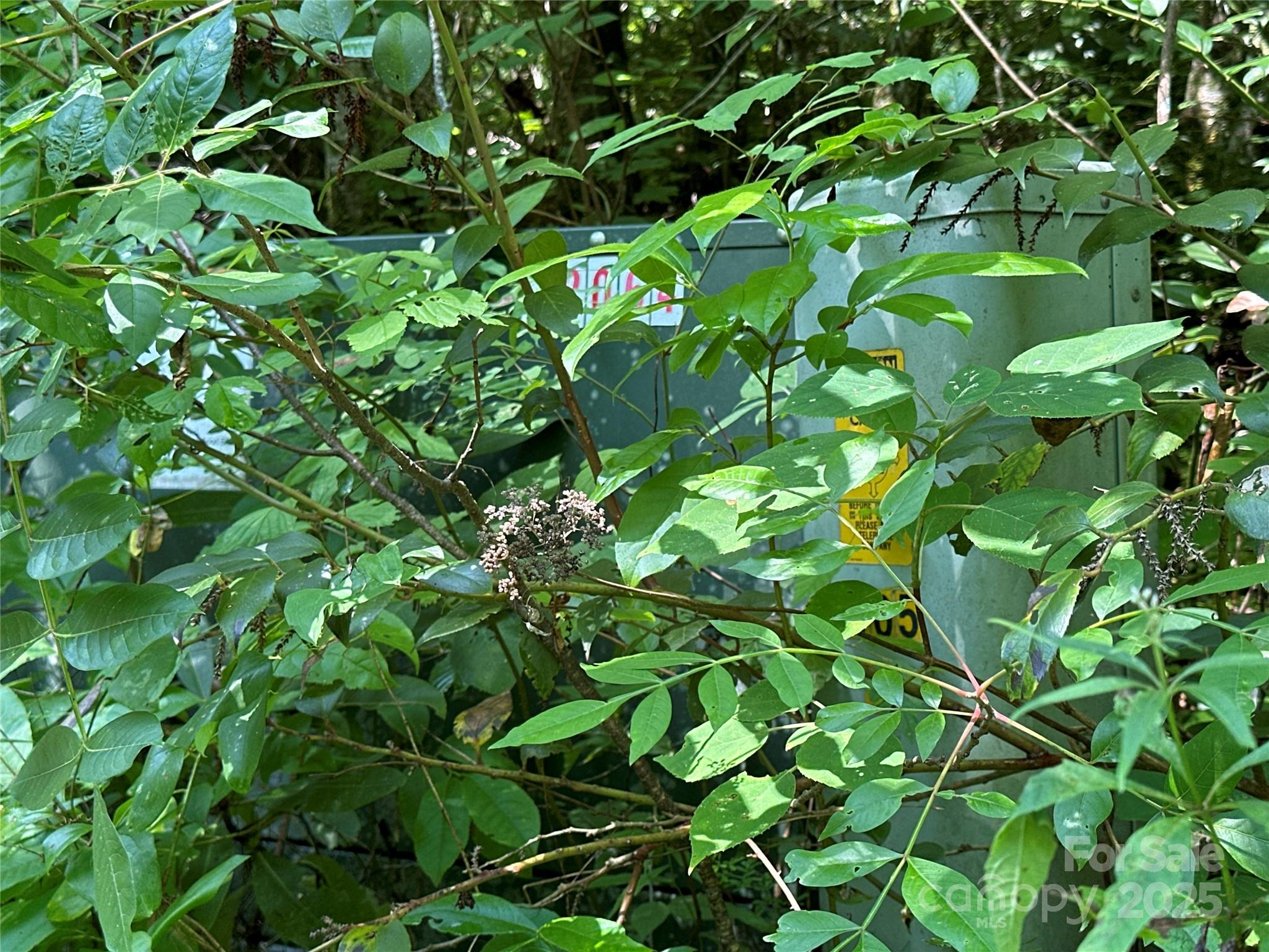 43 Abby Falls Drive 43 Property Photo 33