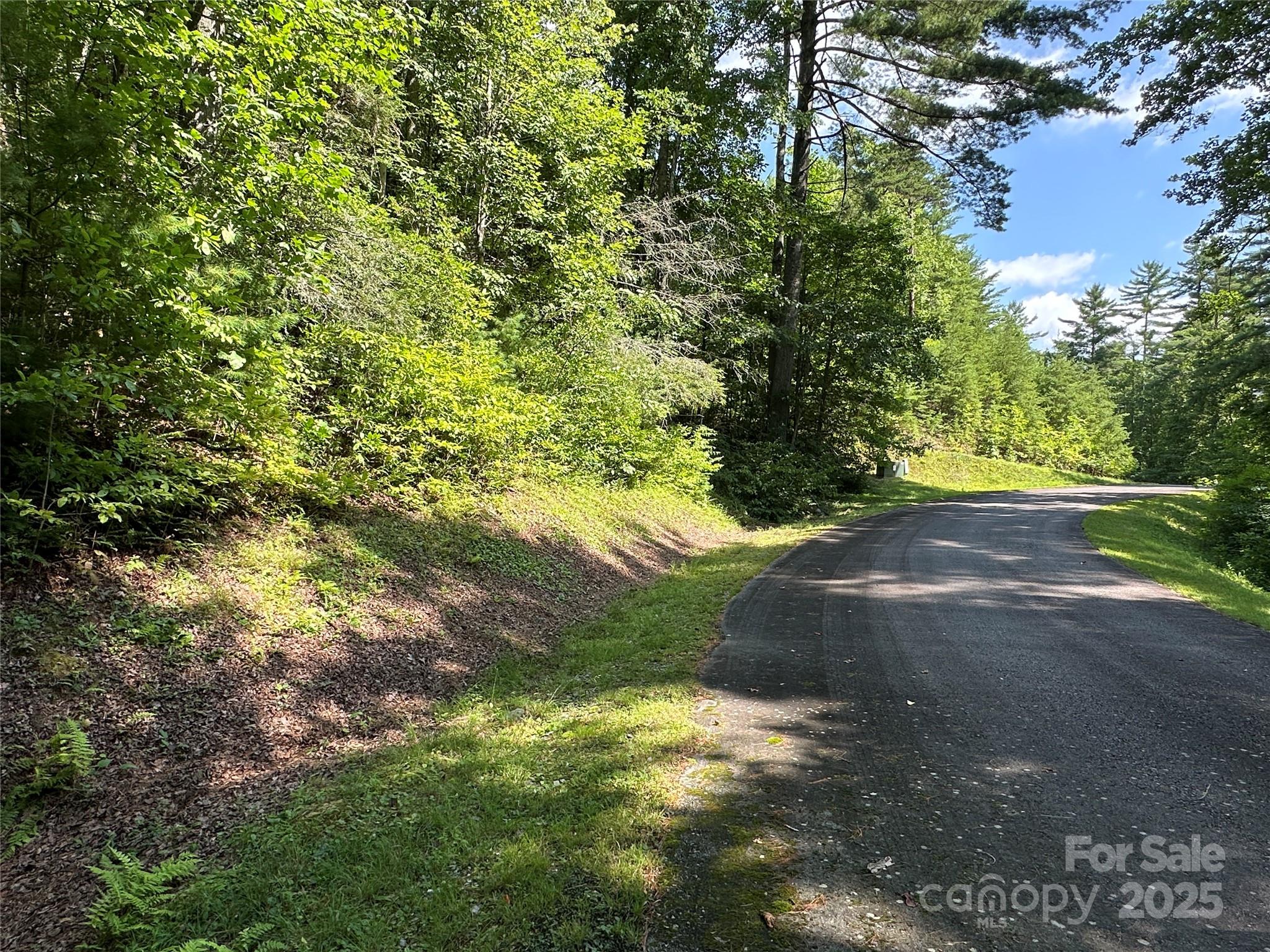 43 Abby Falls Drive 43 Property Photo 34