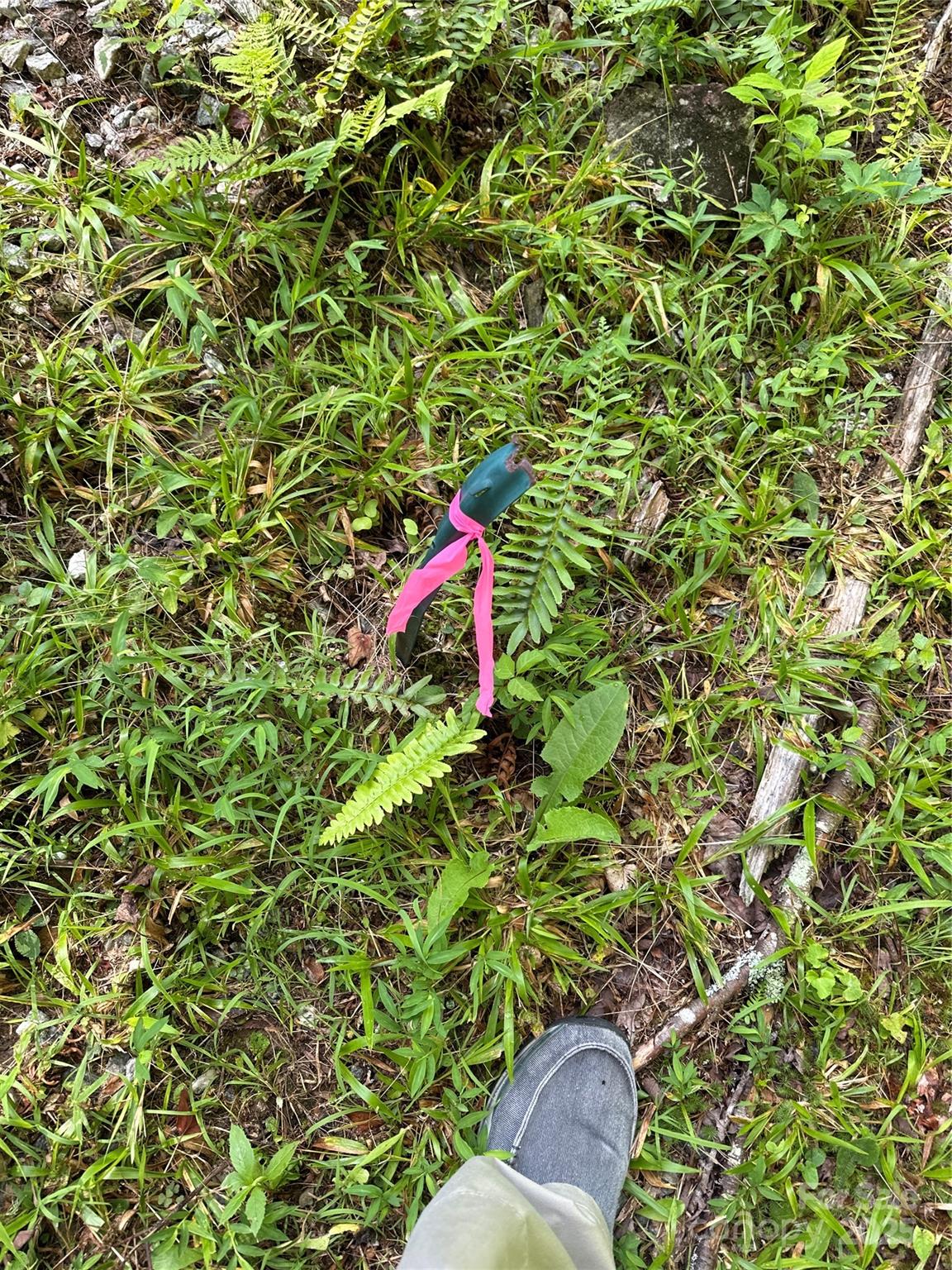 43 Abby Falls Drive 43 Property Photo 35