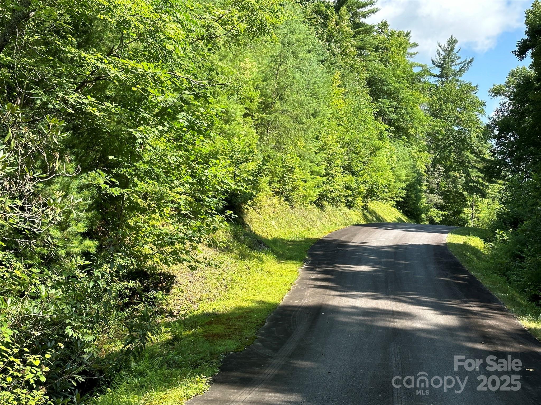 43 Abby Falls Drive 43 Property Photo 36