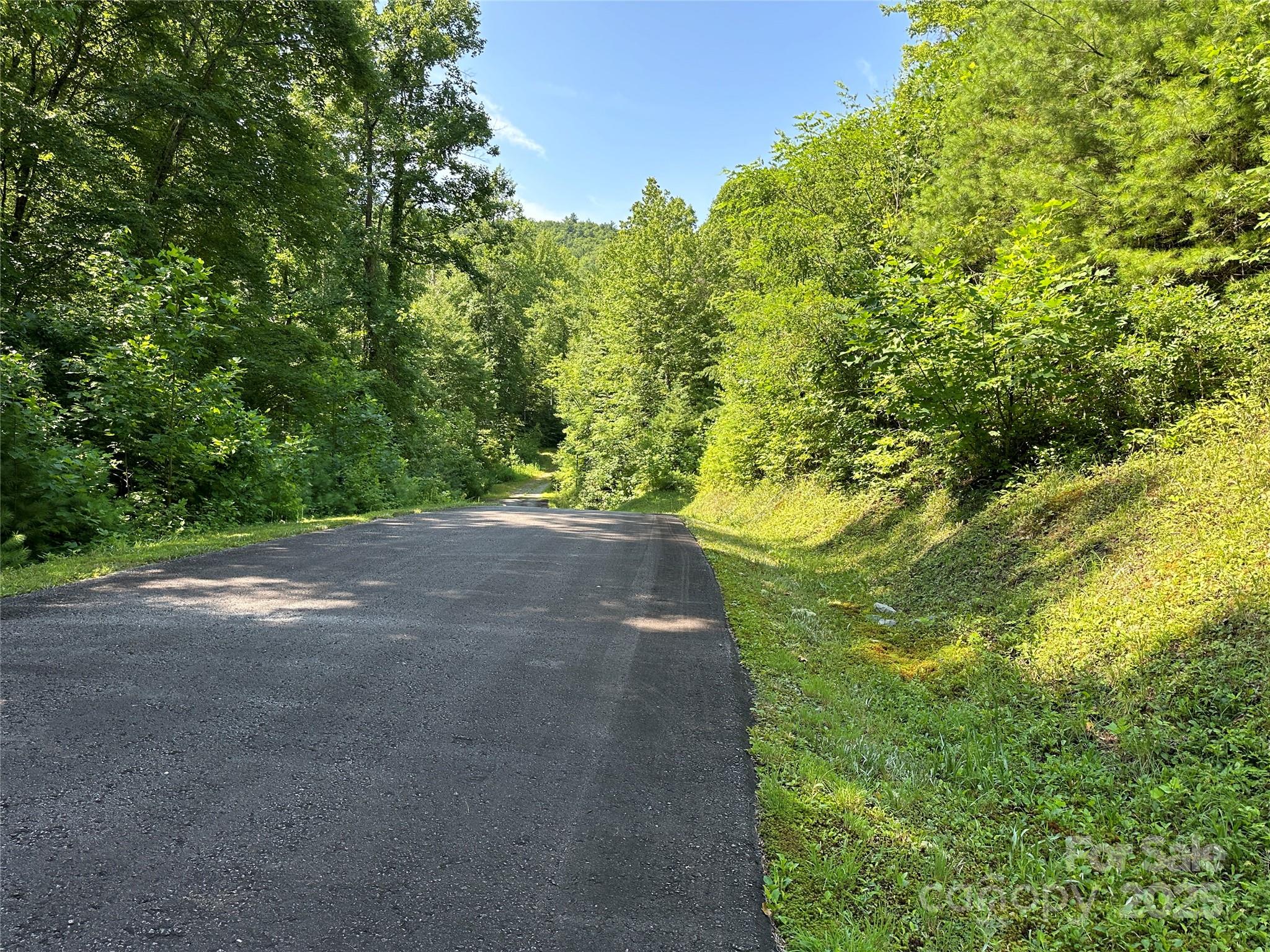 43 Abby Falls Drive 43 Property Photo 37