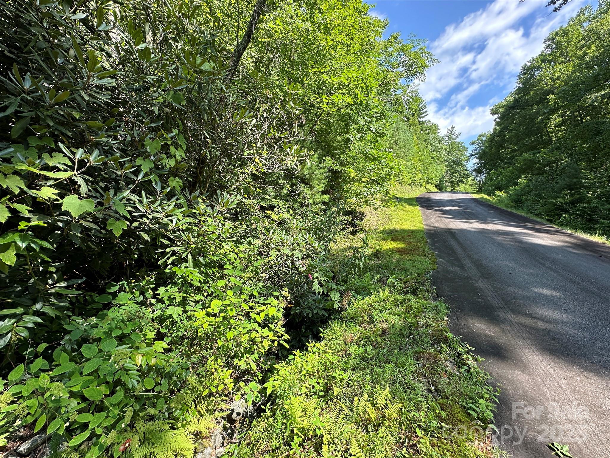 43 Abby Falls Drive 43 Property Photo 38