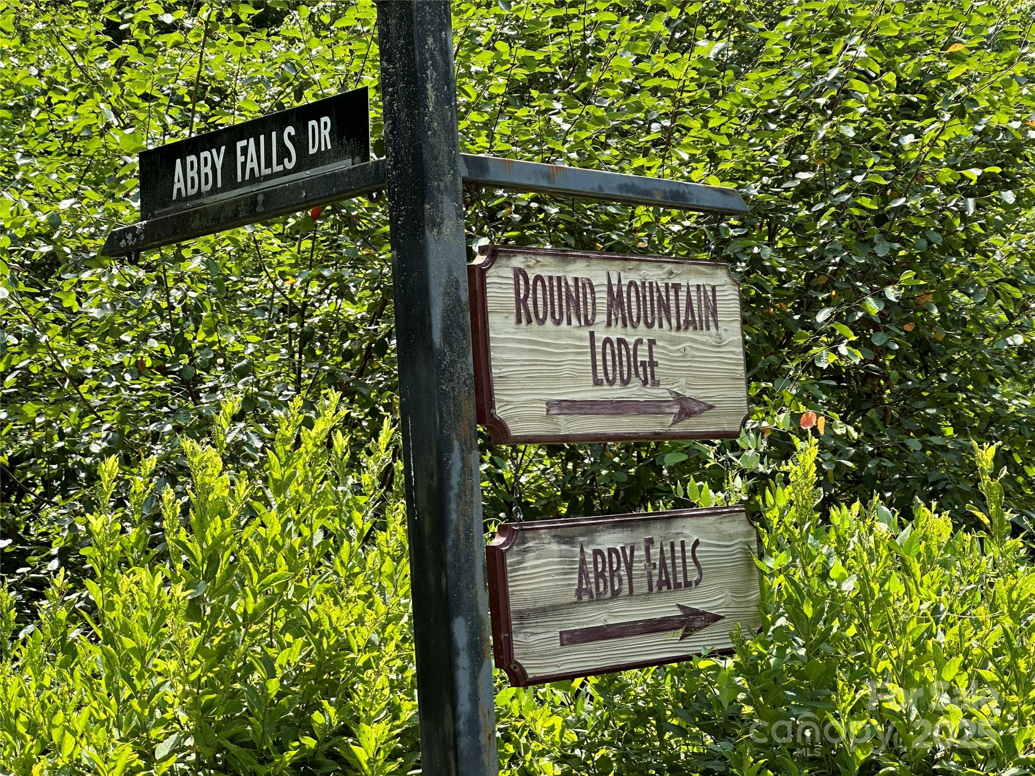 43 Abby Falls Drive 43 Property Photo 42