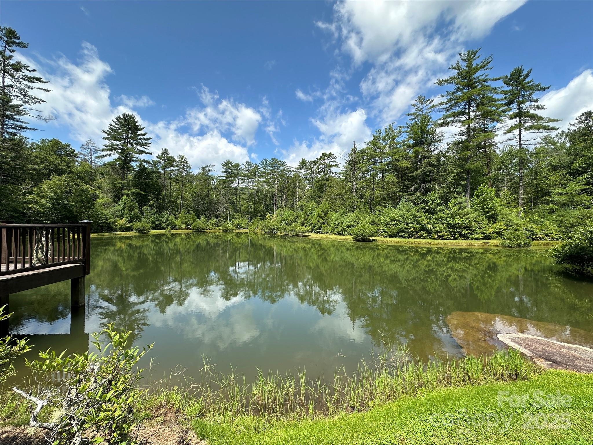 43 Abby Falls Drive 43 Property Photo 45