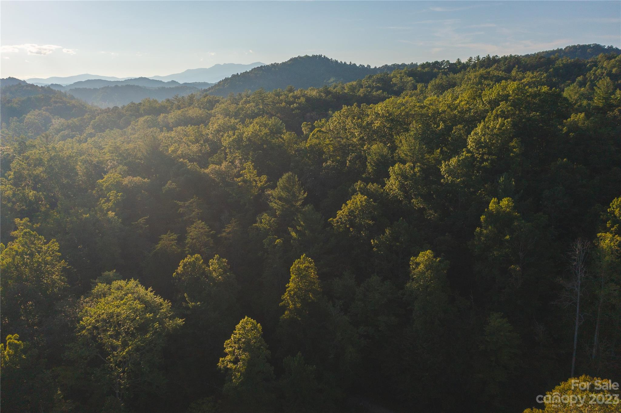 4157 Kirby Mountain Road Property Photo 1