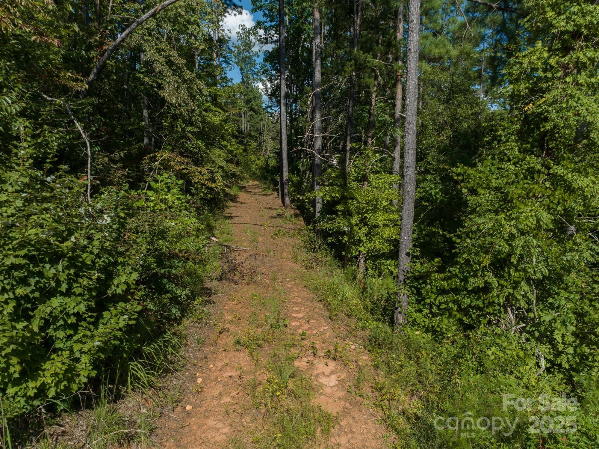 823 Silver Creek Road Property Photo 11