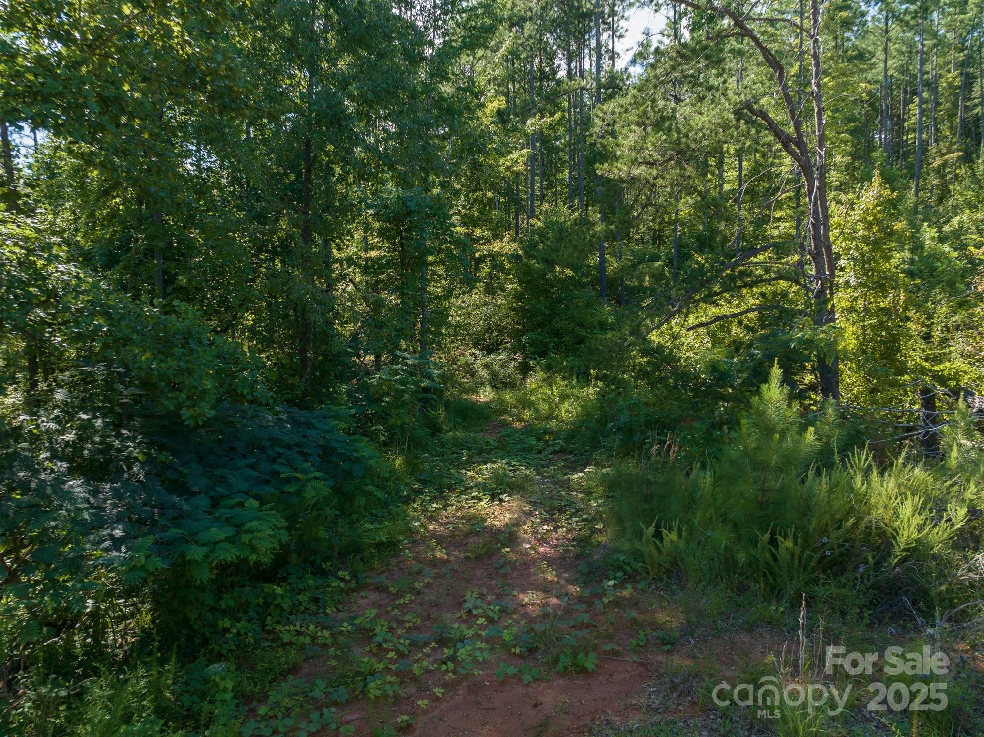 823 Silver Creek Road Property Photo 20