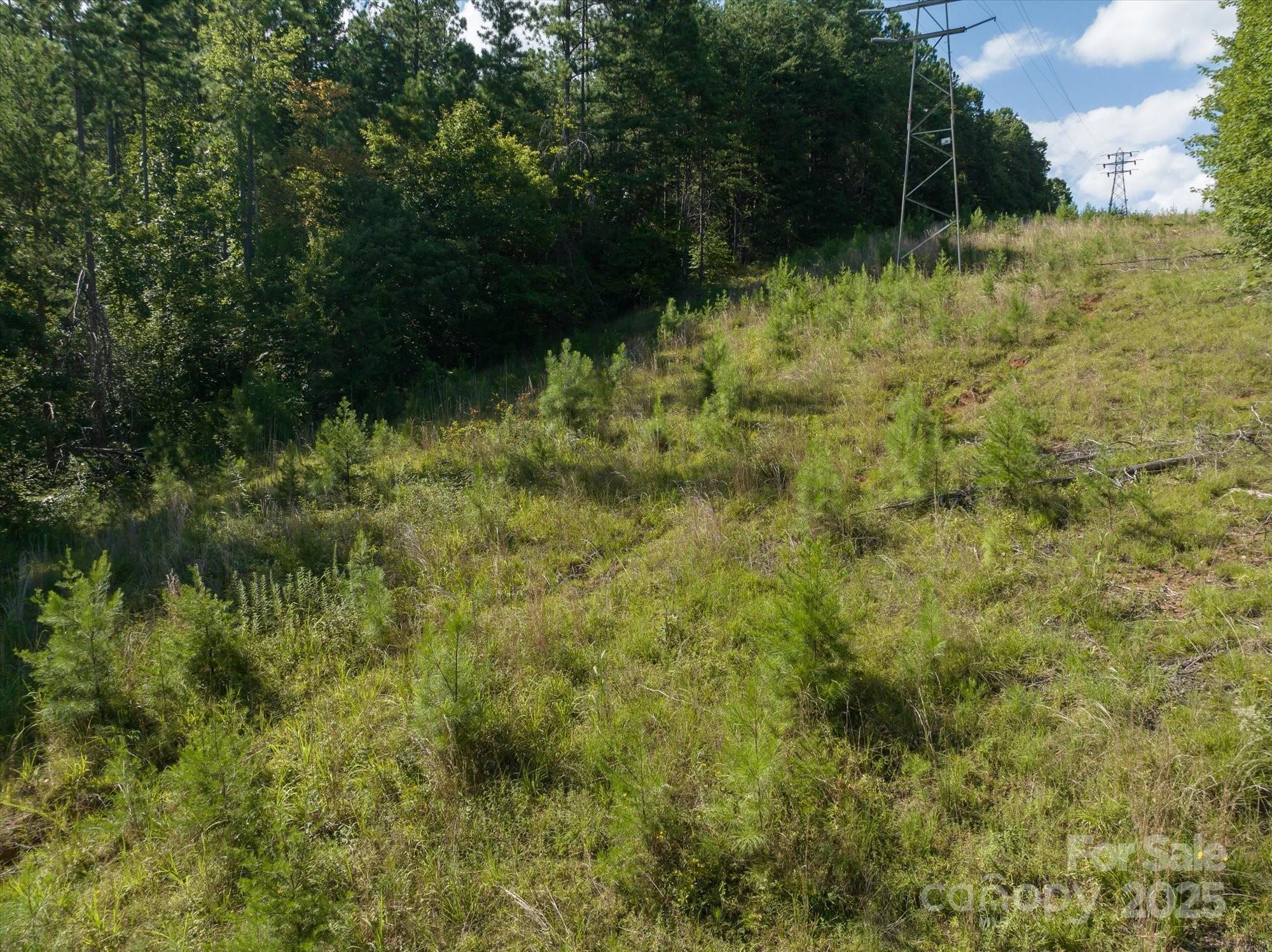 823 Silver Creek Road Property Photo 21