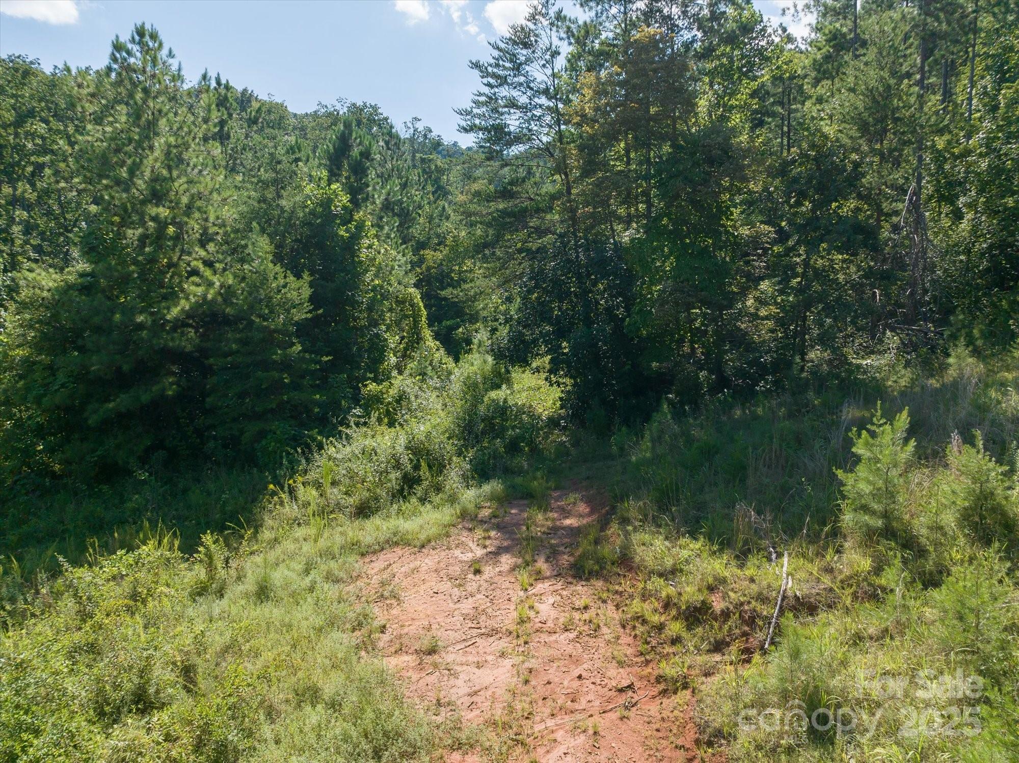 823 Silver Creek Road Property Photo 22