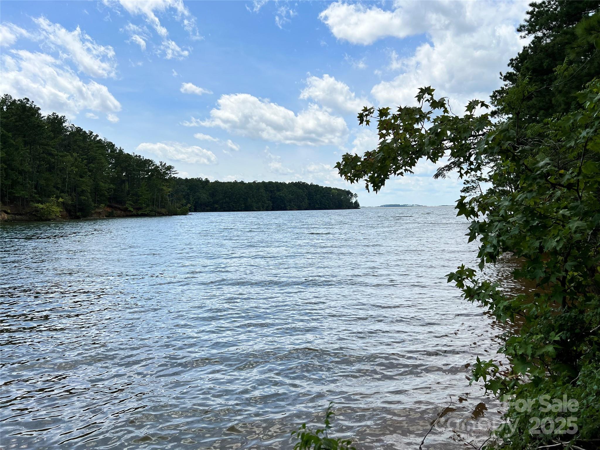 Lot 7 Sc Hwy 215 South Property Photo