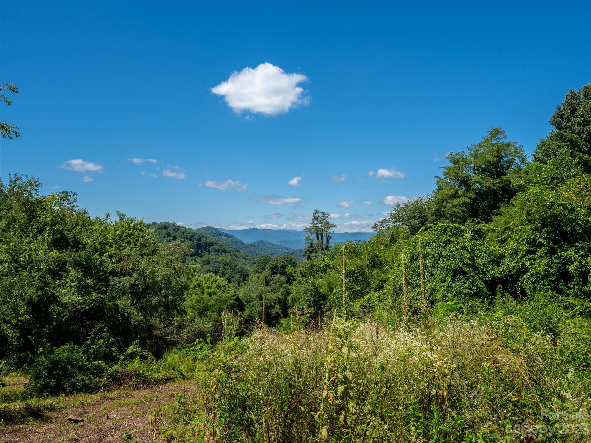 00 Crabtree Mountain Road Property Photo 4